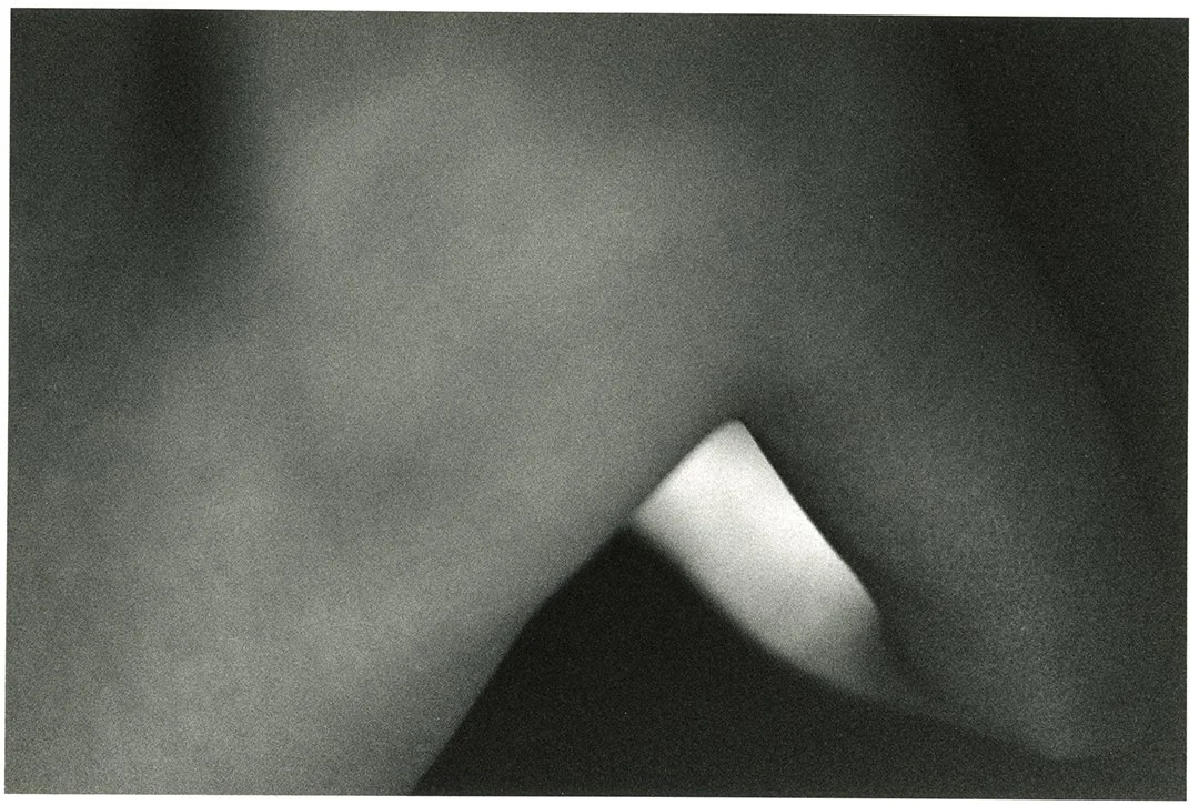 TRENA RAINES