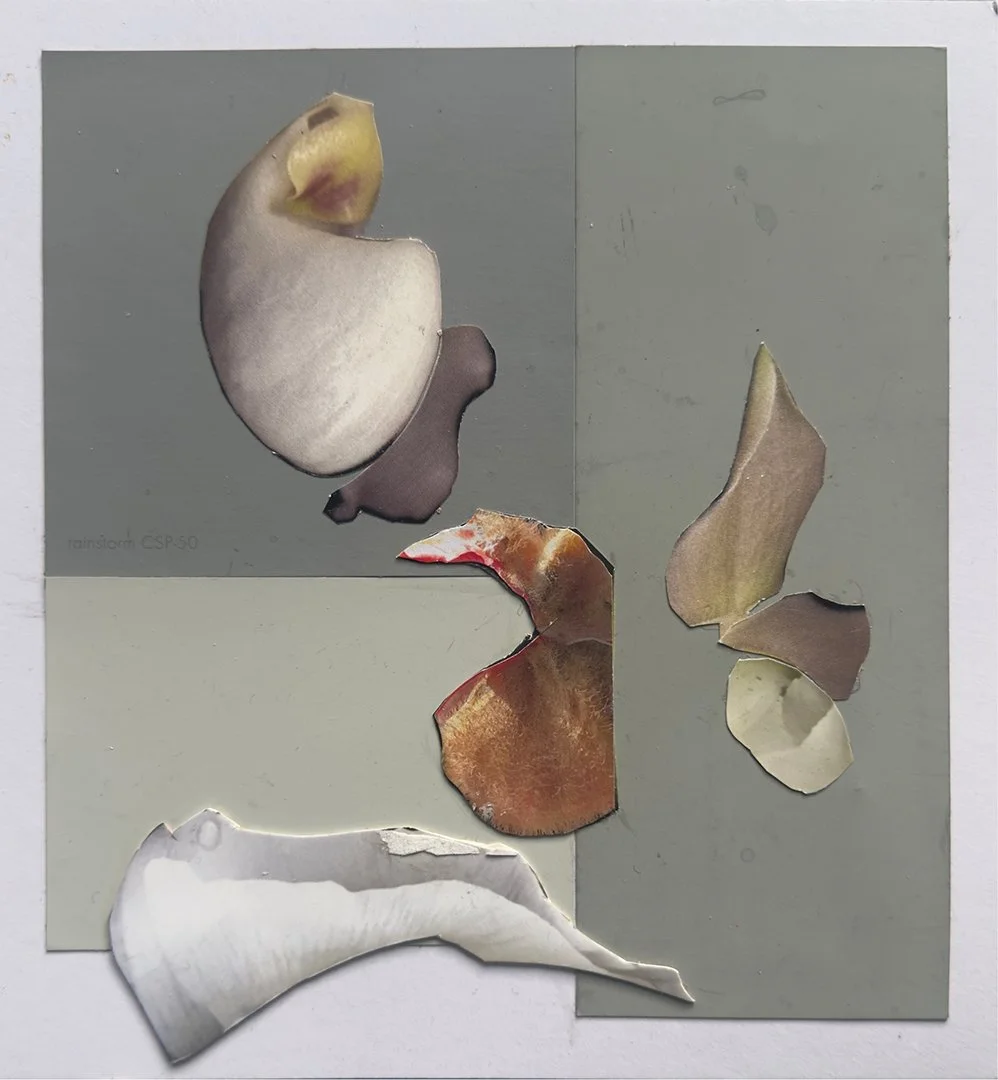 CHARLOTTE GOULD