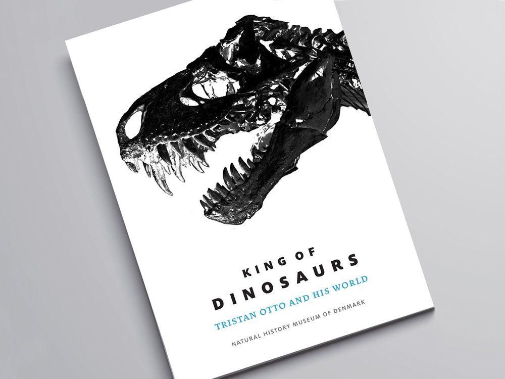 King of Dinousaurs-cover copy.jpg