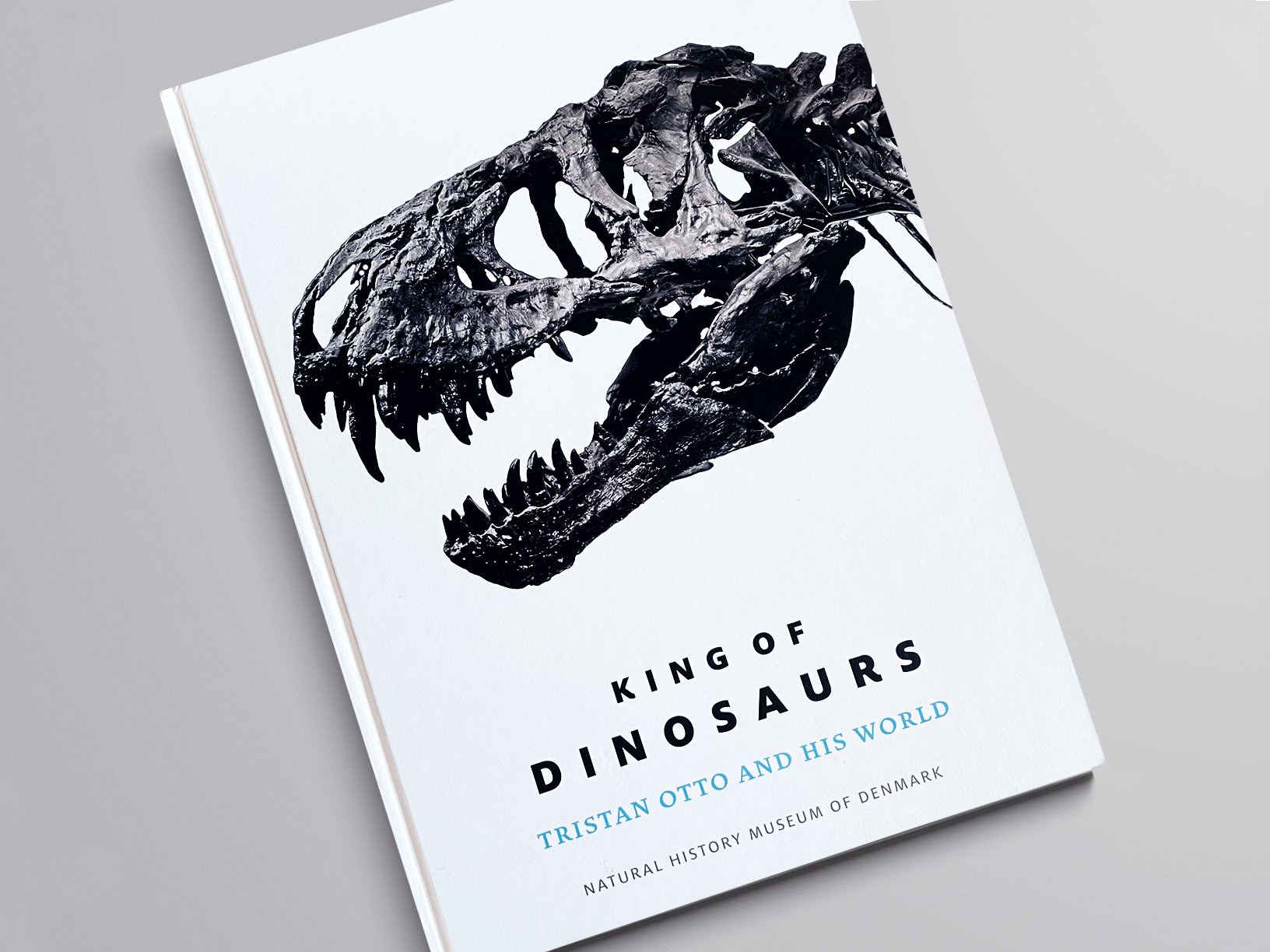 King+of+Dinousaurs-cover1.jpg