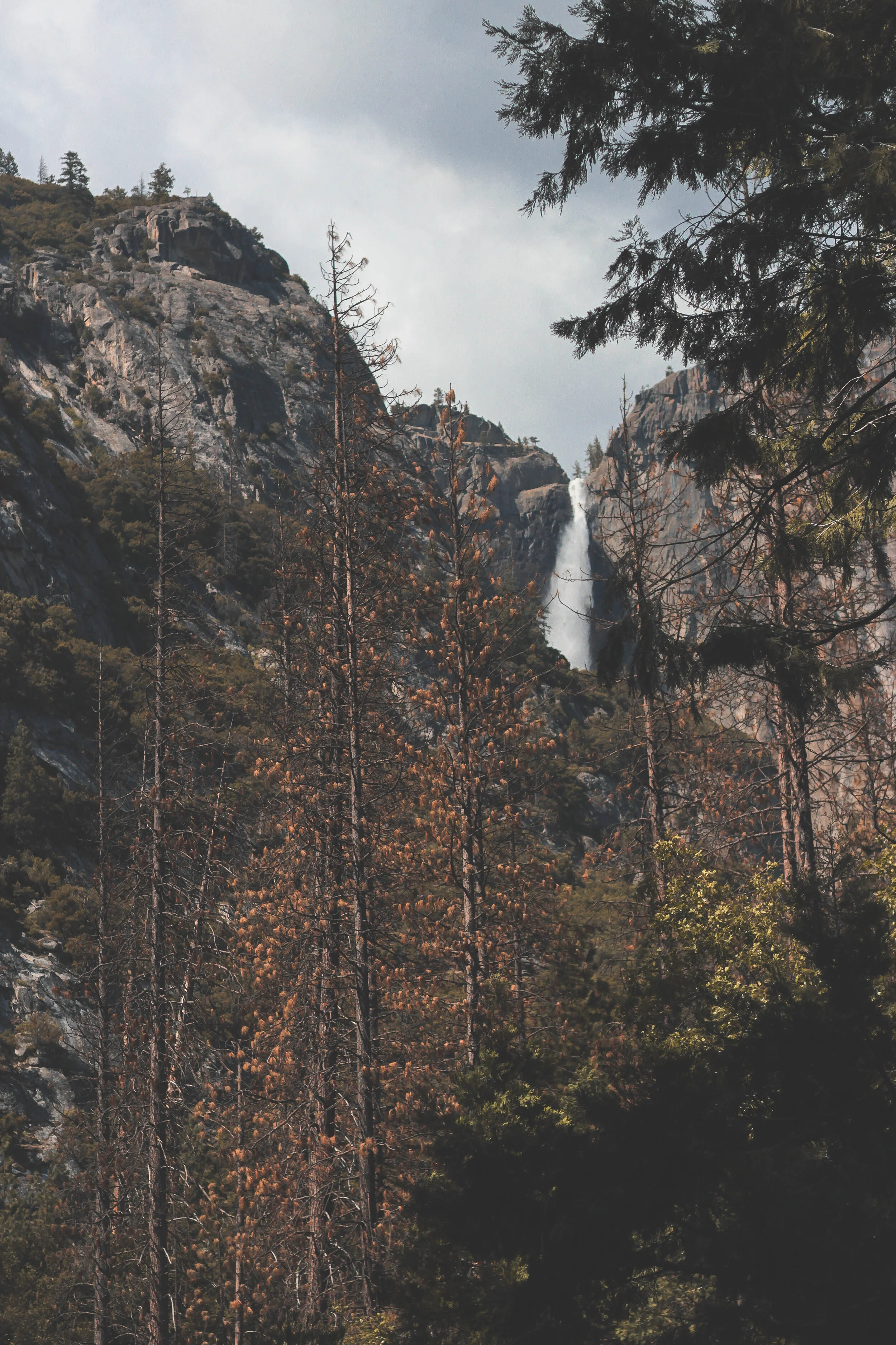 fall-1.jpg