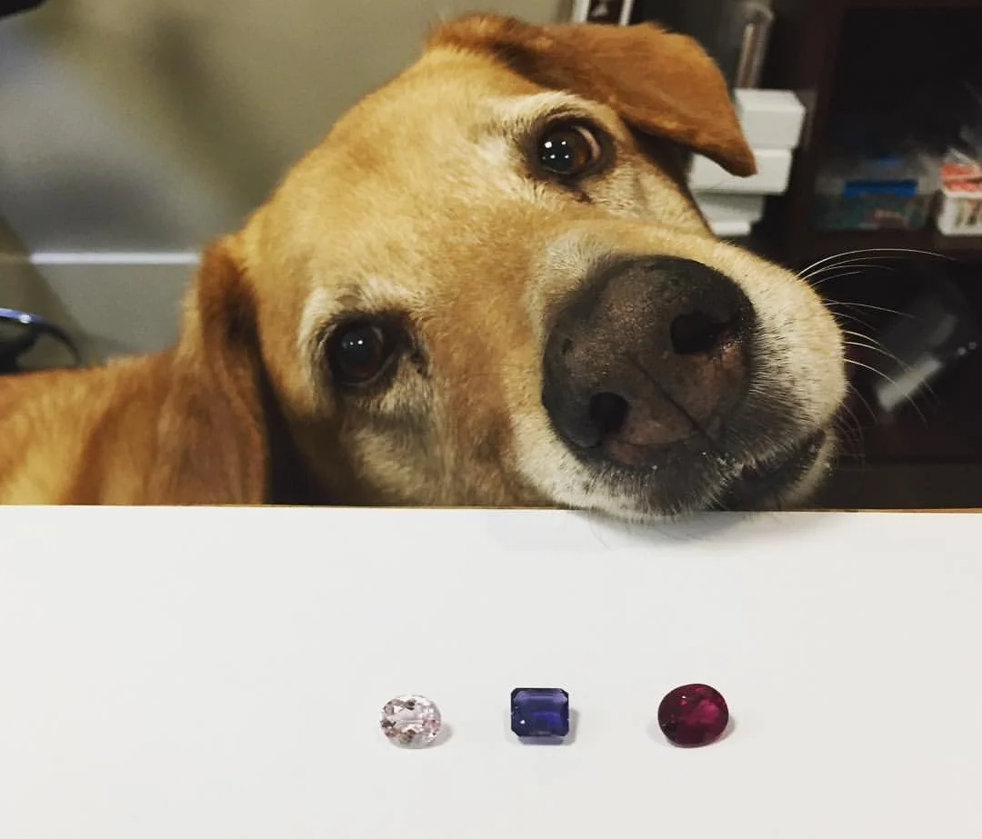 Buddy's Favorite Gemstones