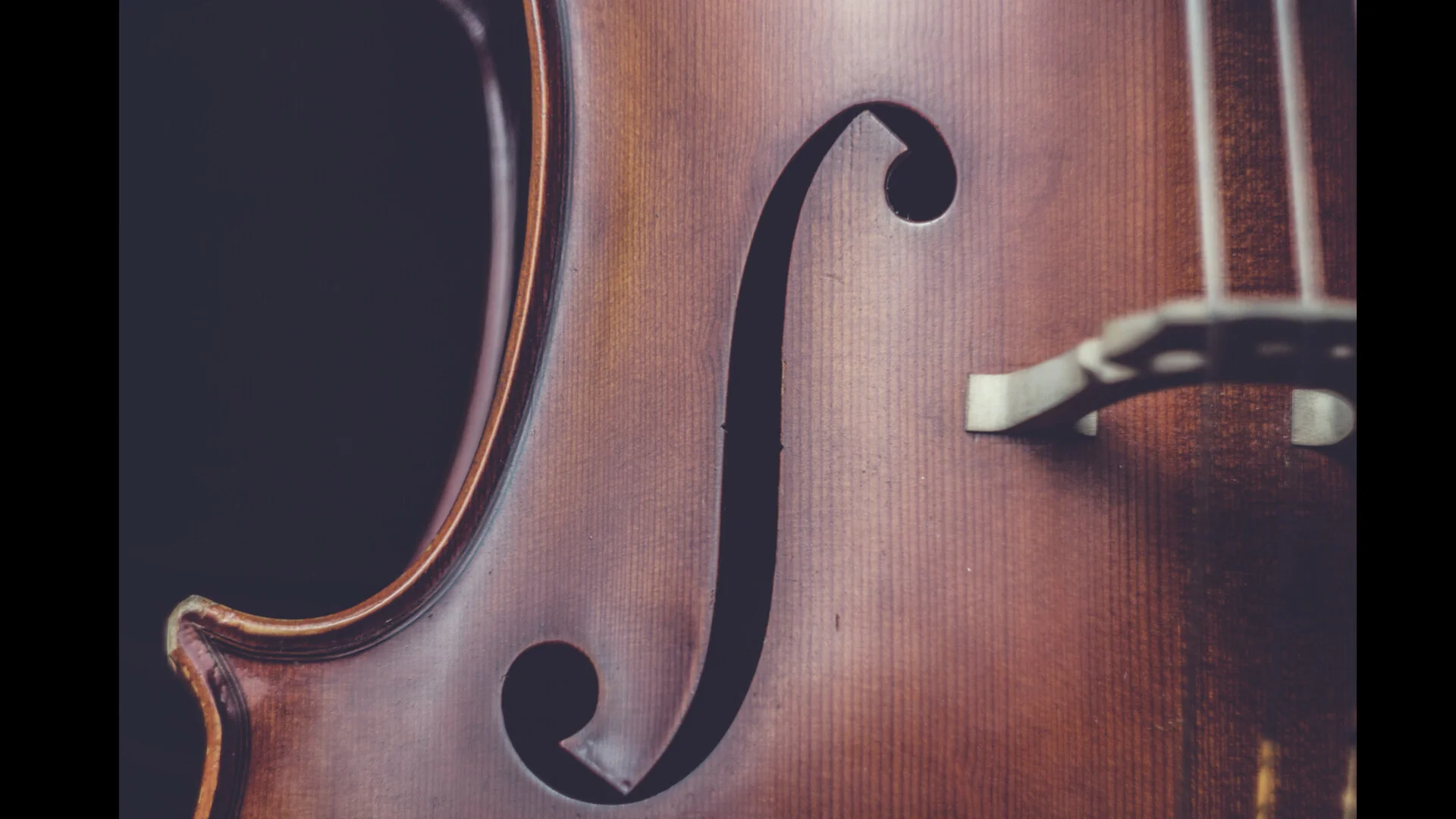 PMA SLIDE IMAGES.005.jpeg