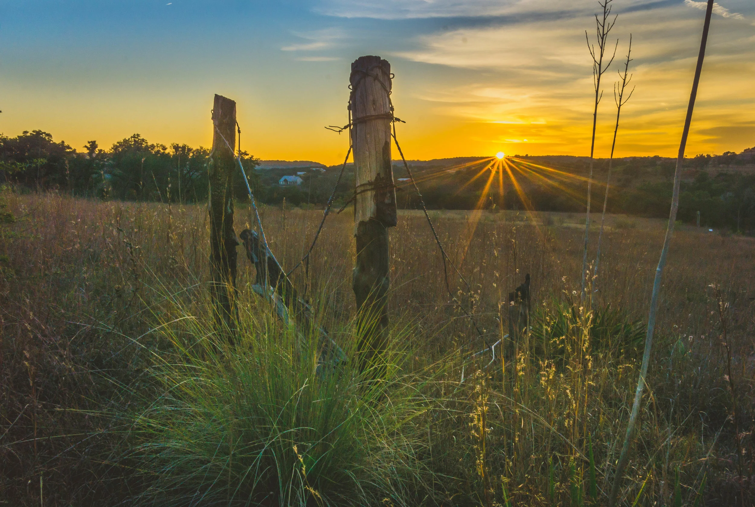 Canyonlands posts 1.jpg