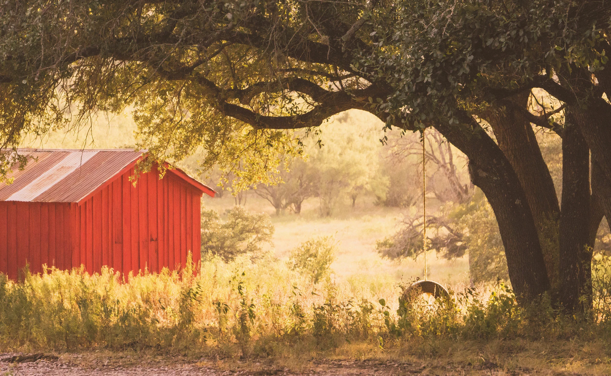 Still Swing; Dripping Springs, TX