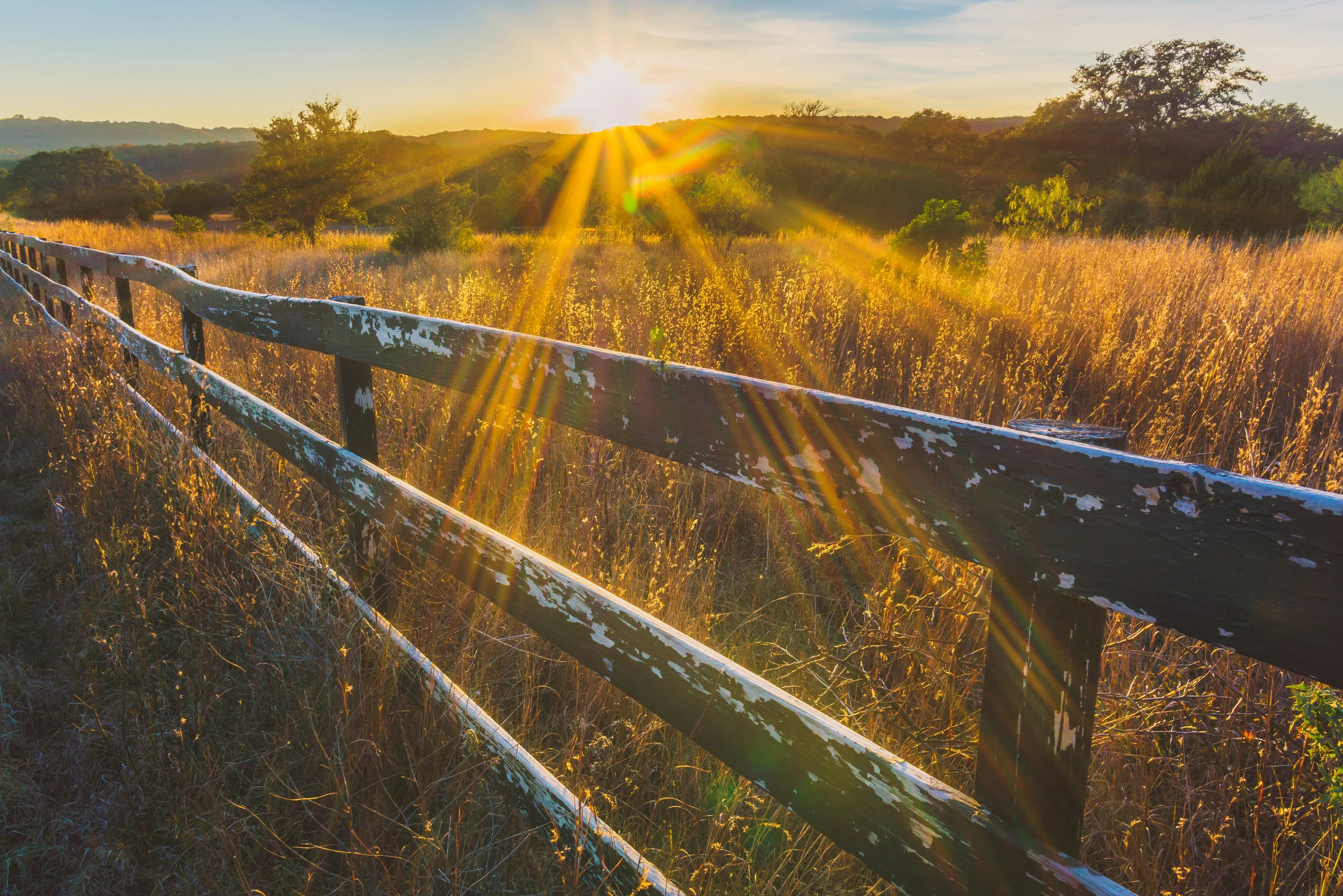 Sundown Meadow; Balcones Canyonlands