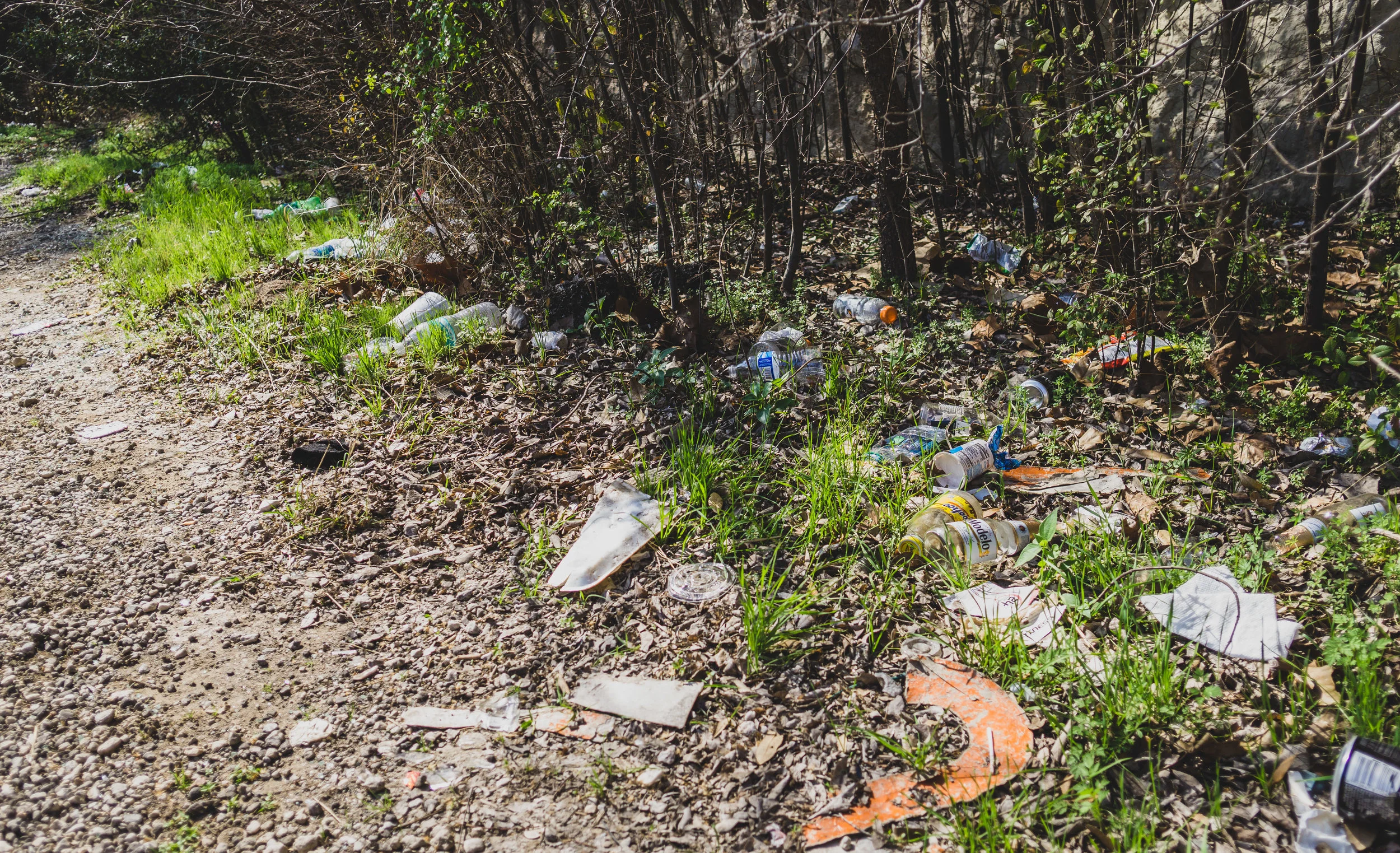 The litter is this bad or worse the entire length of the parking area on the western Overlook.&nbsp;