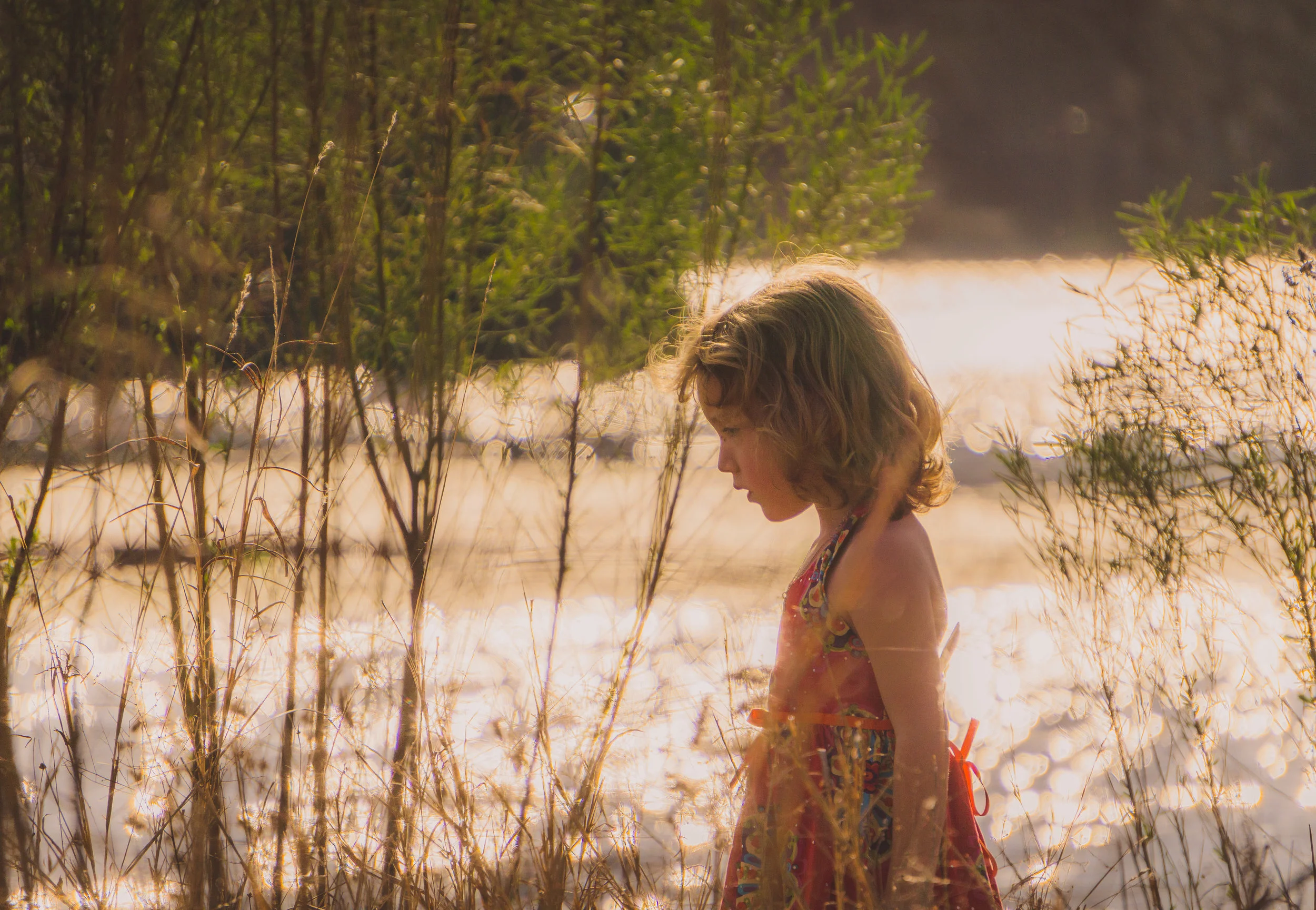 spring lake san marcos feb 2017 lola sola.jpg