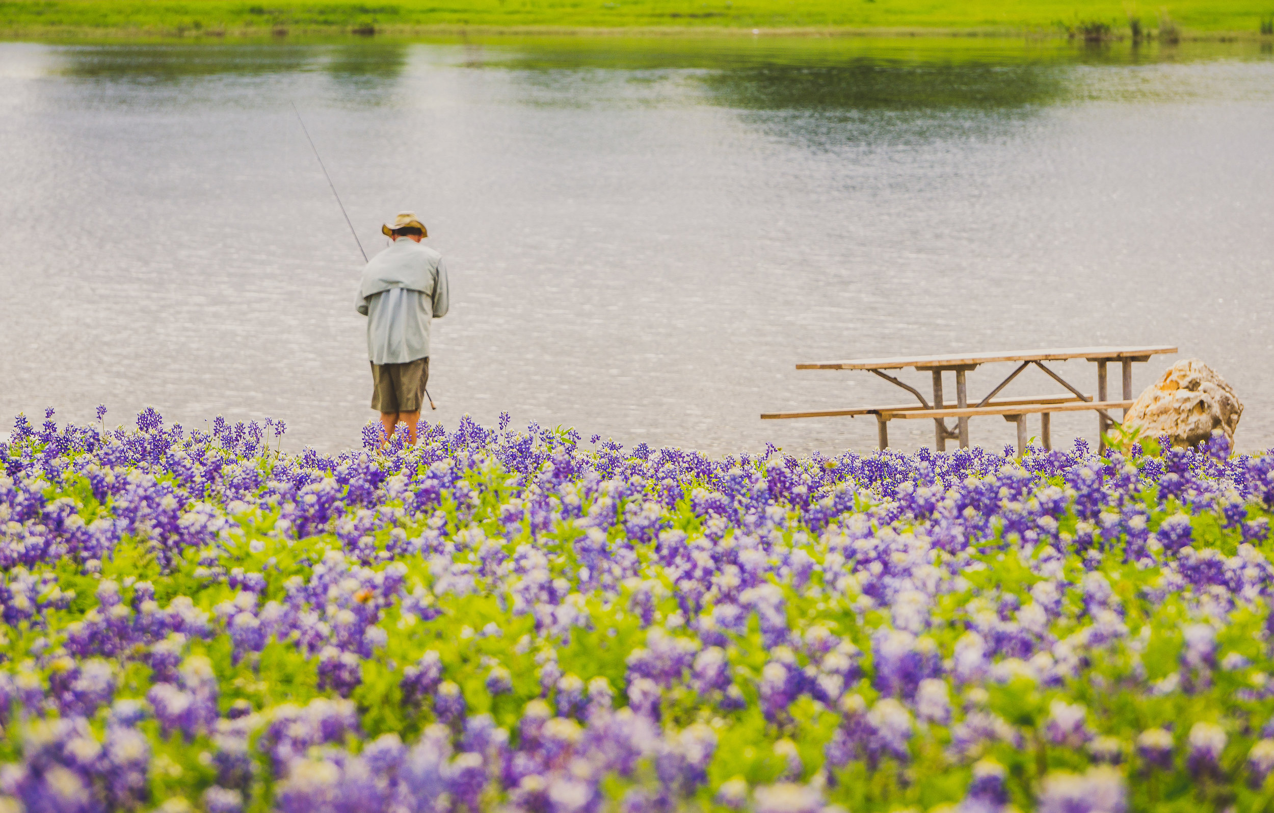 turkey run bluebonnets fisherman 3.jpg
