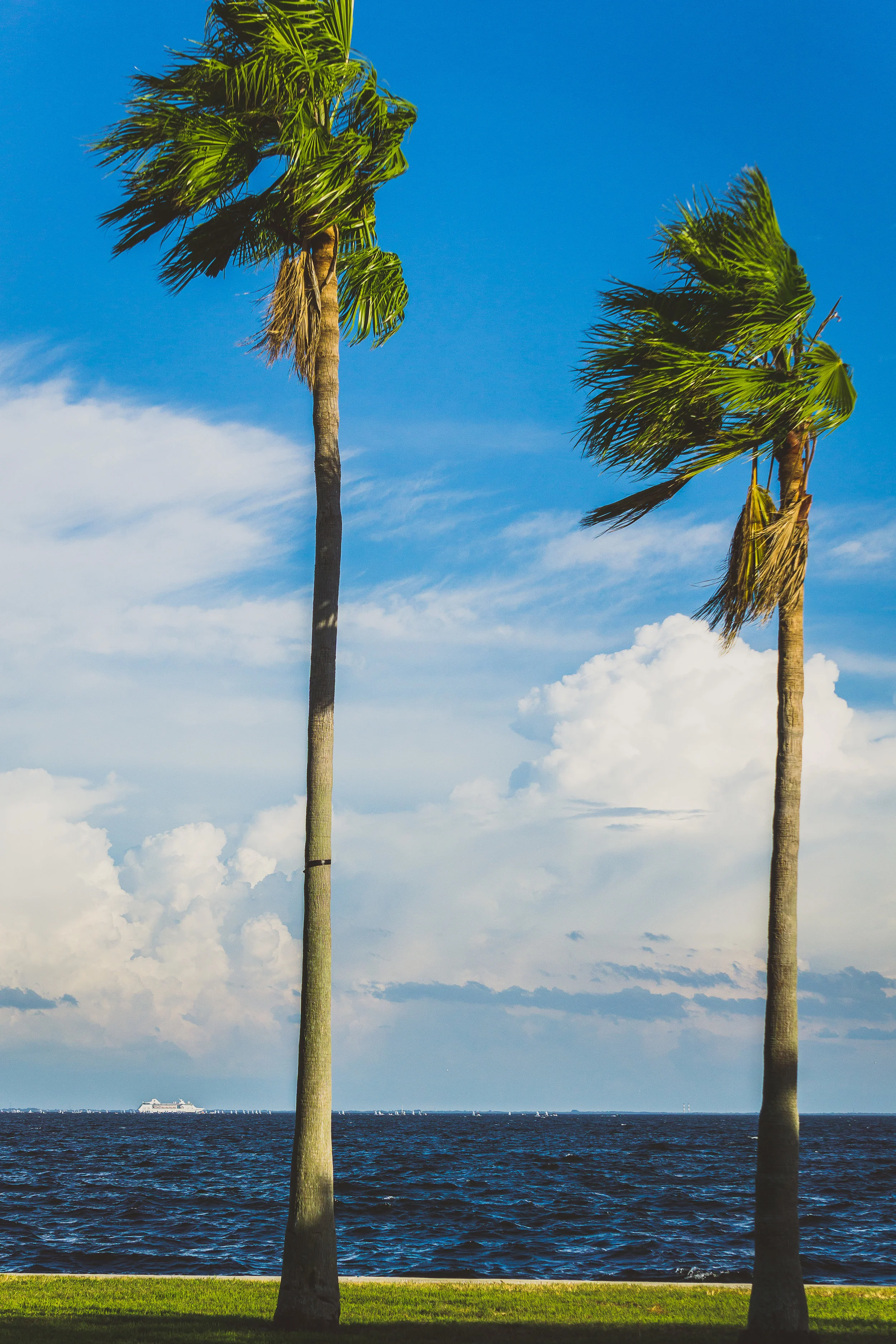 st. pete oct 7 two palms by bay amber.jpg