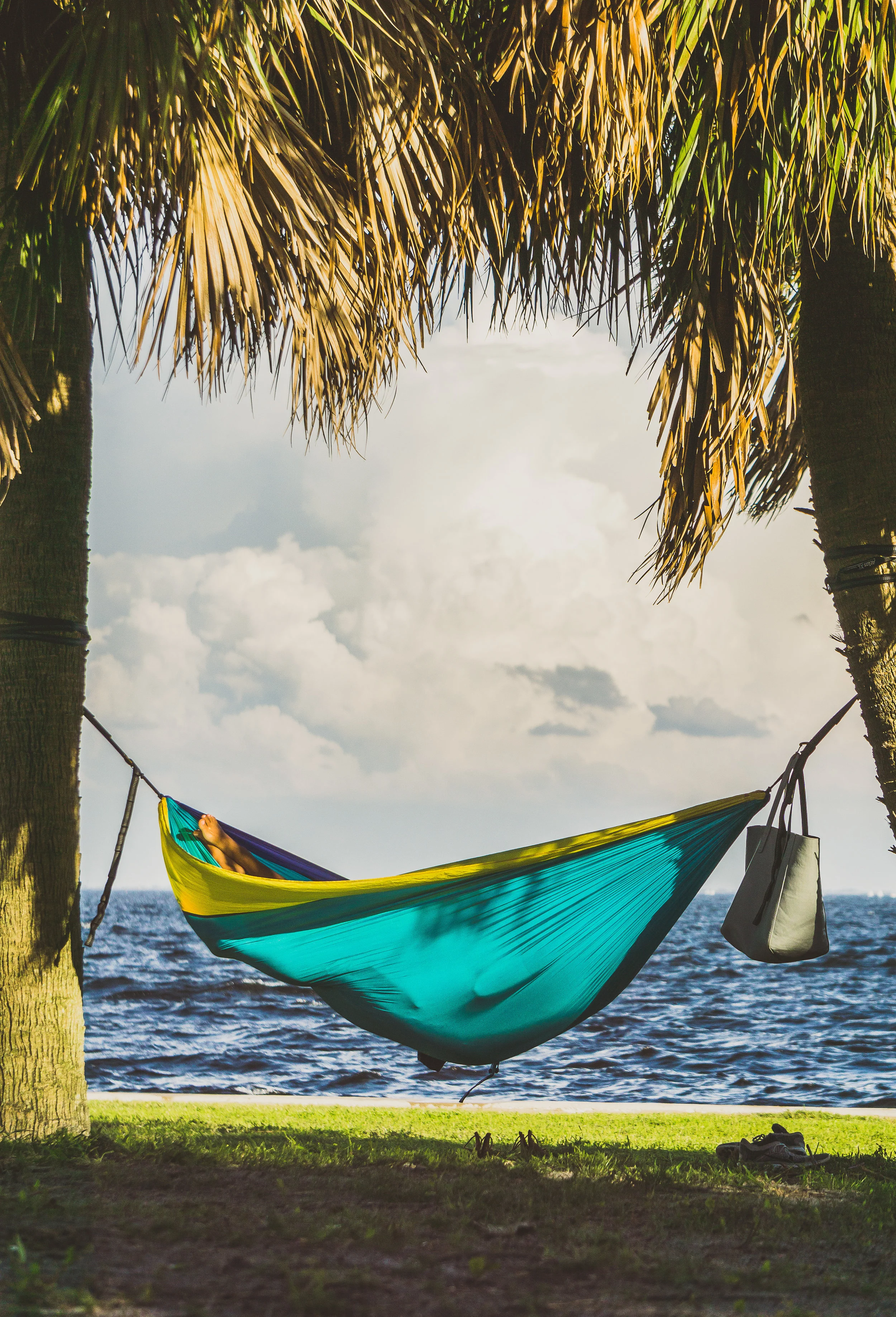 st. pete oct 7 hammock on bay.jpg
