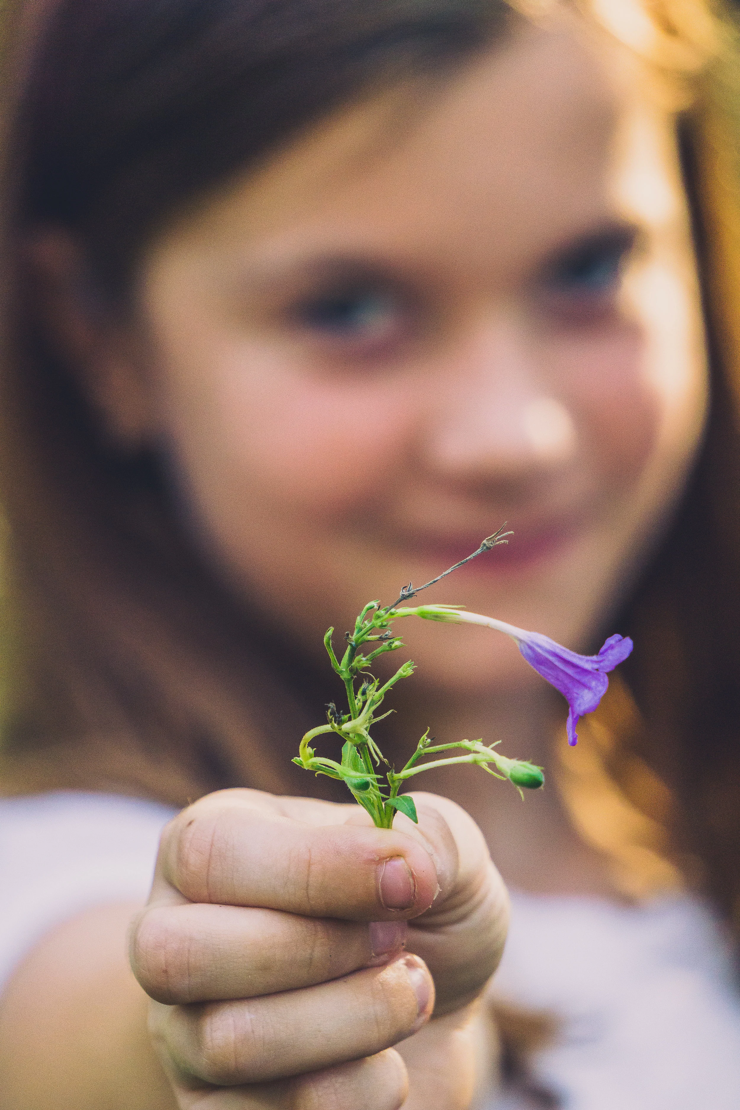 Britton Gregory-23.jpg