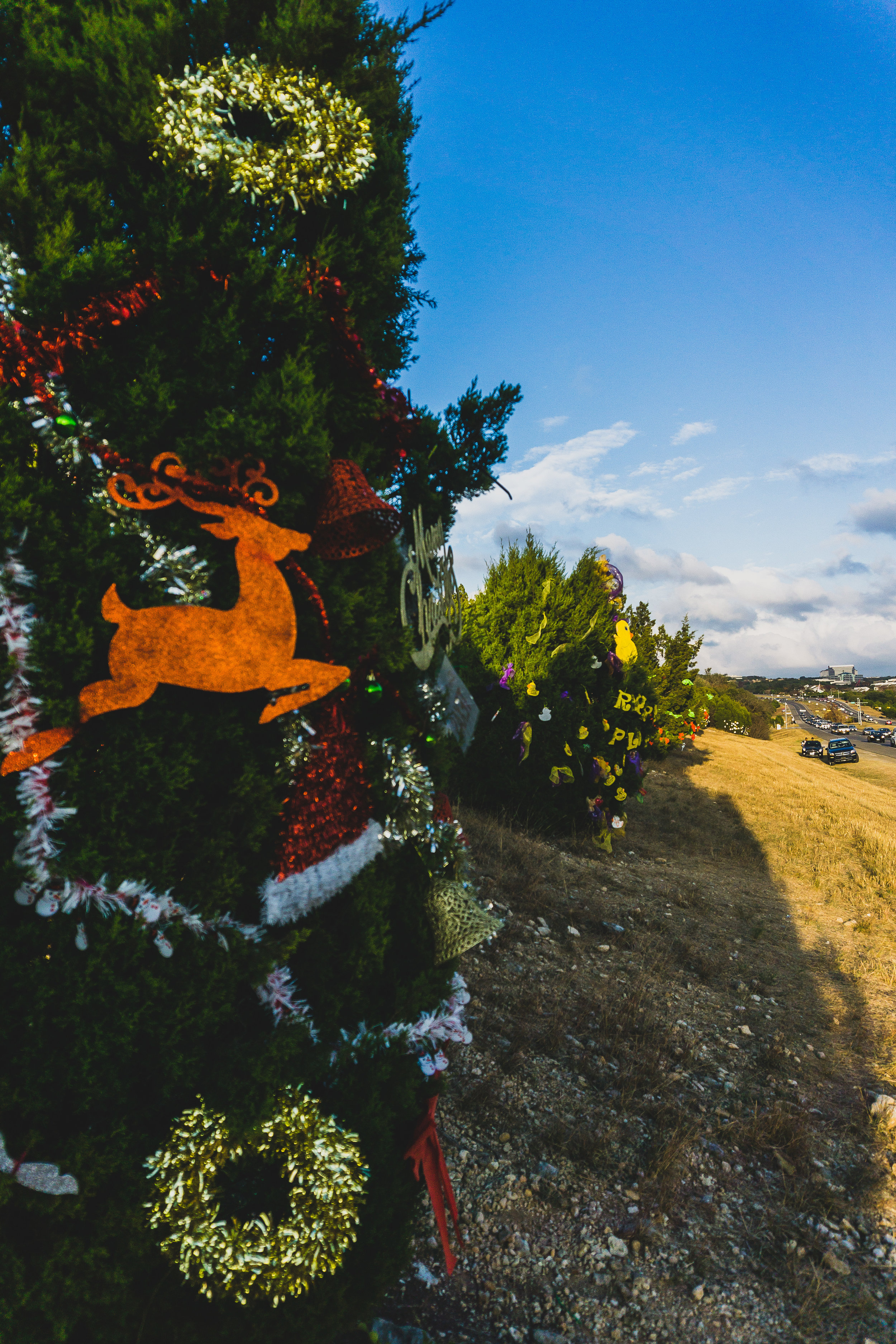 Loop 360 Christmas cheer-8.jpg