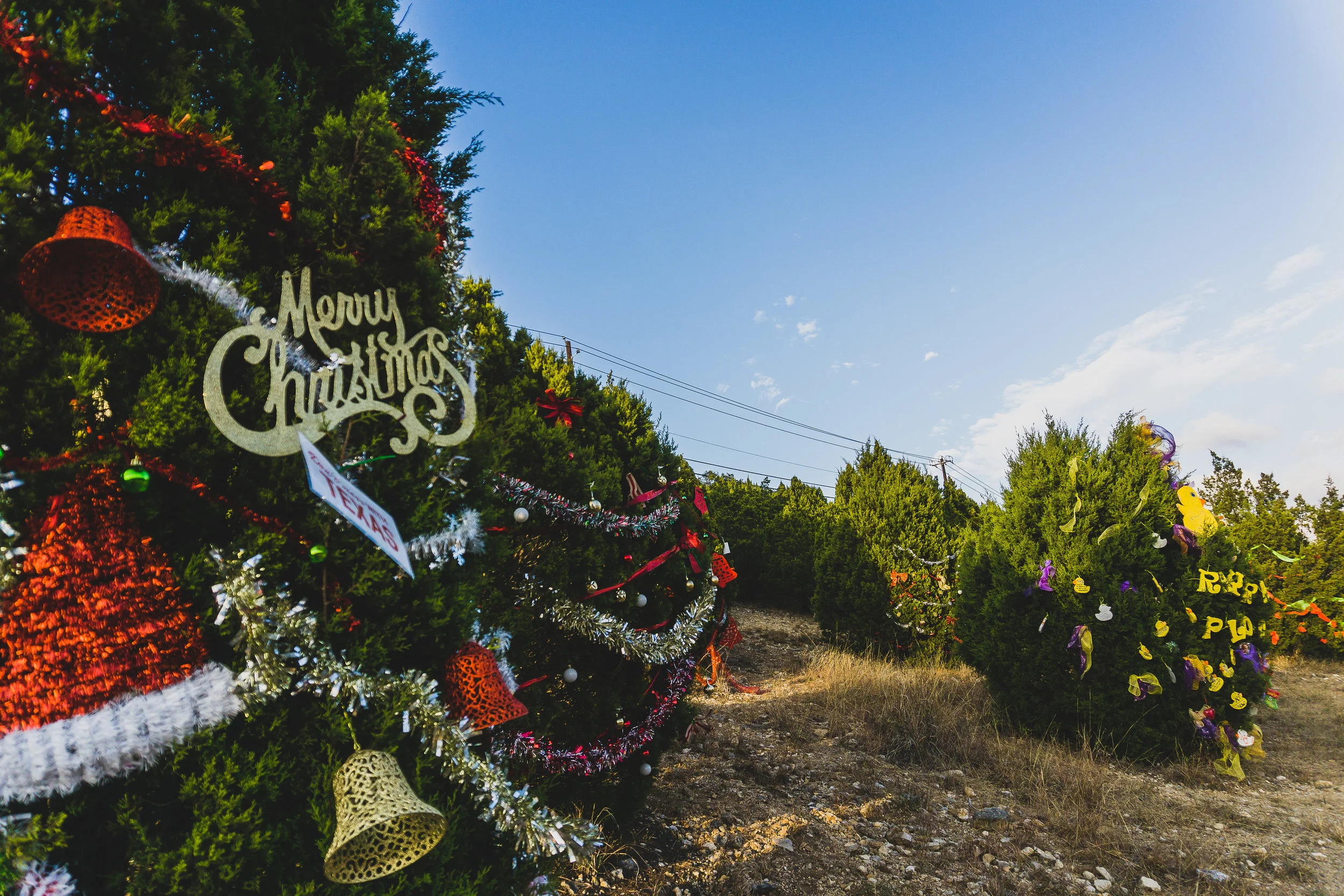 Loop 360 Christmas cheer-7.jpg