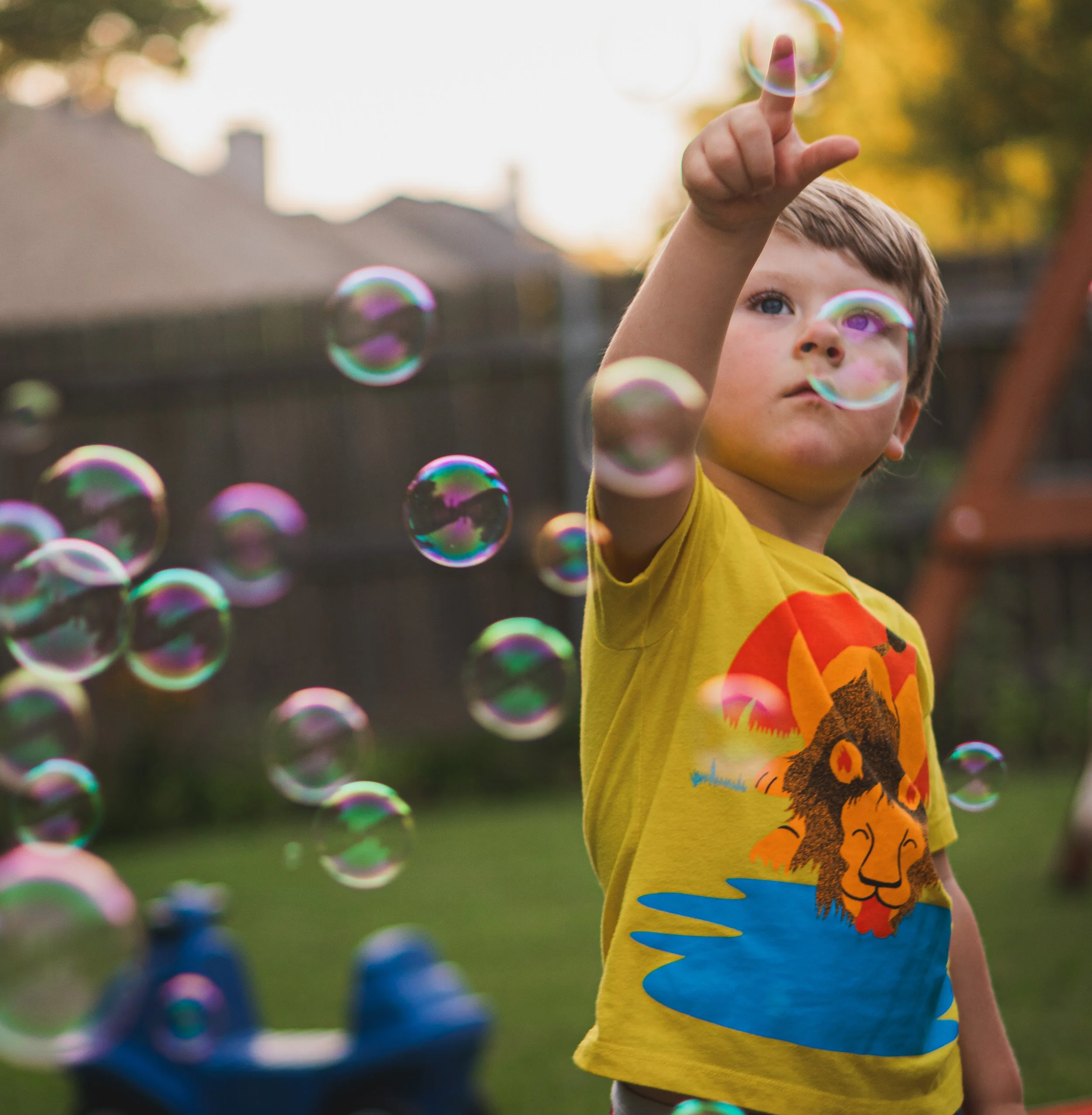 Bubbles - Jude 2 - Aug 25.jpg