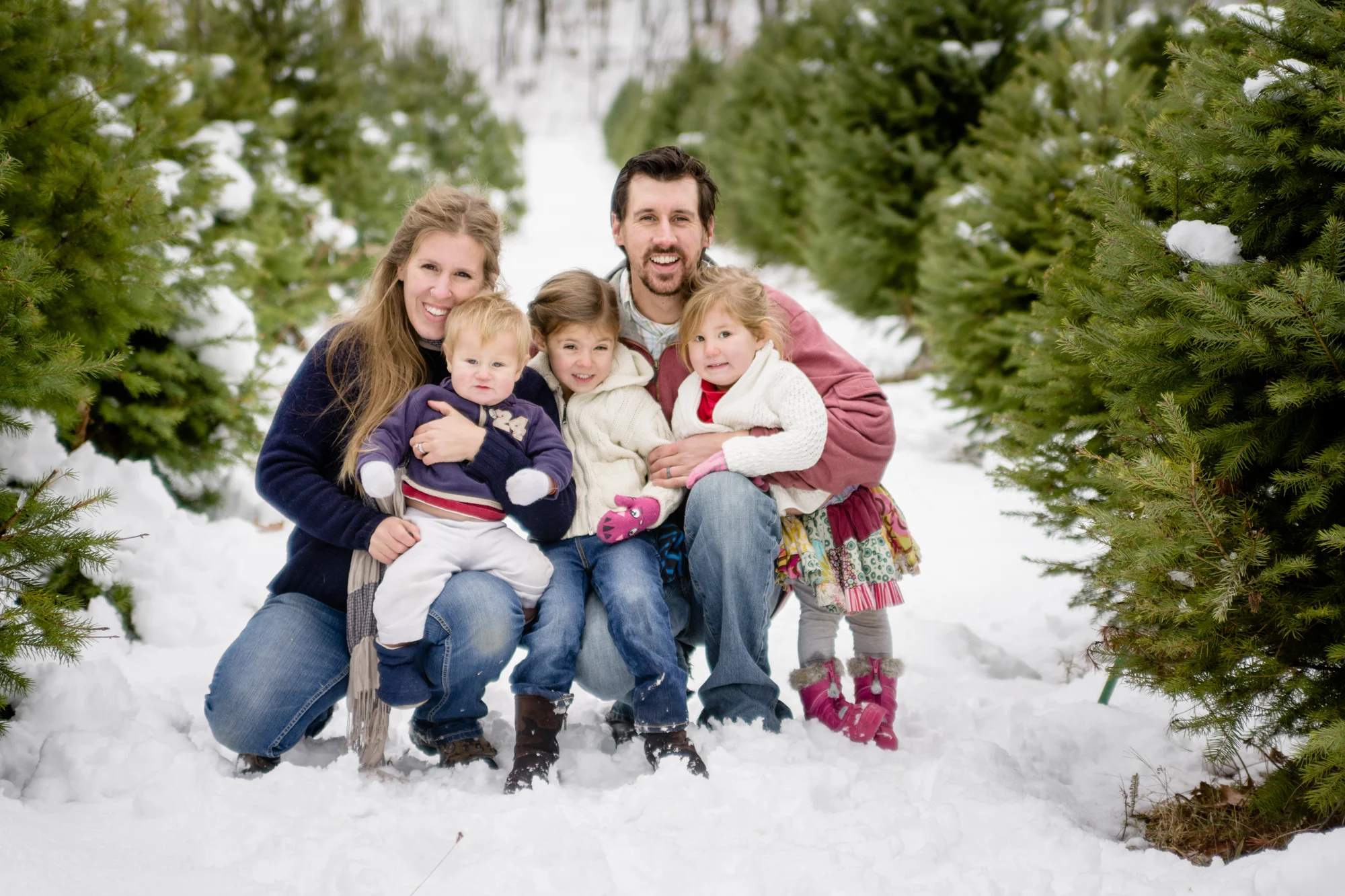 Christmas Tree-019-2.jpg
