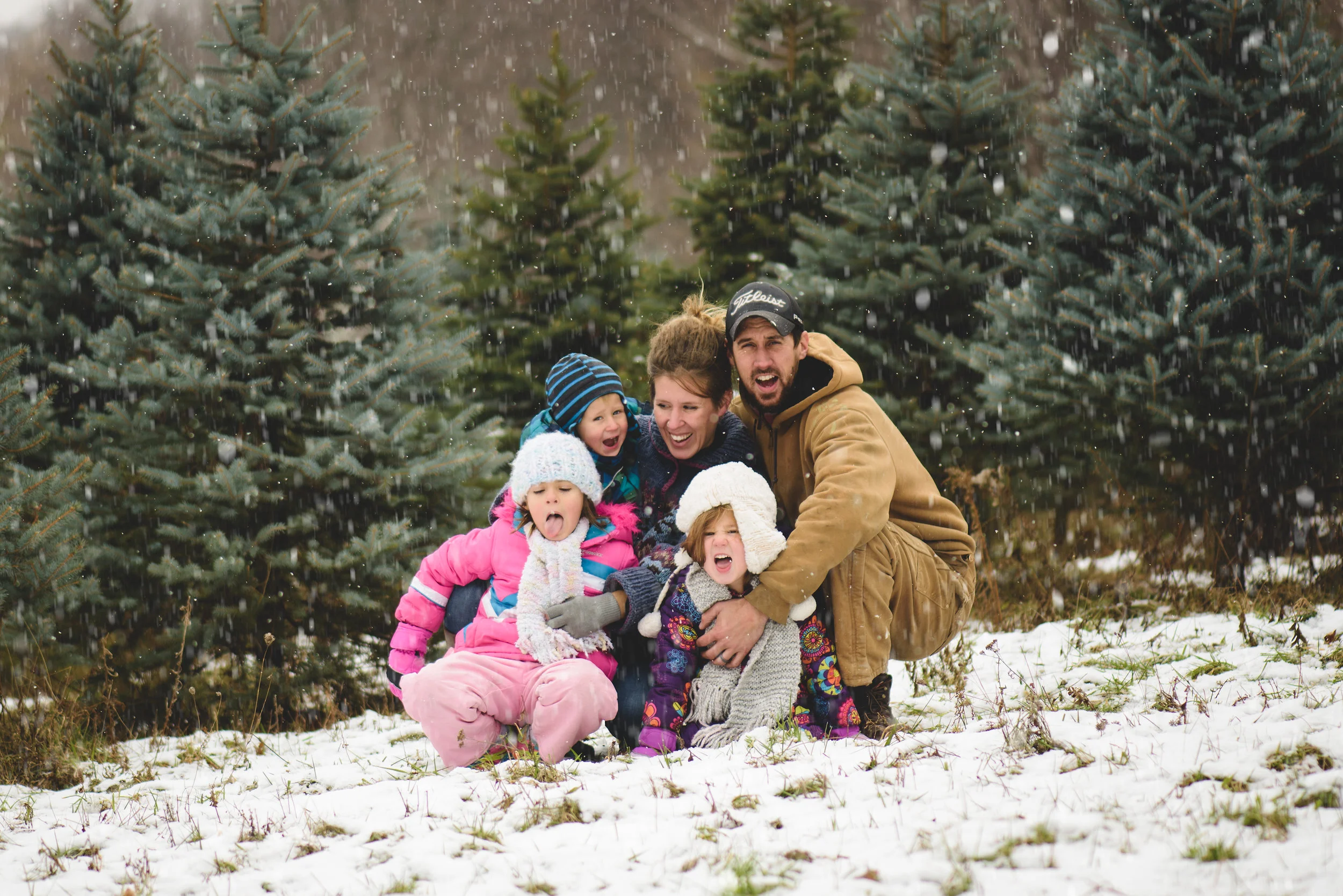 Christmas Tree-7315.jpg