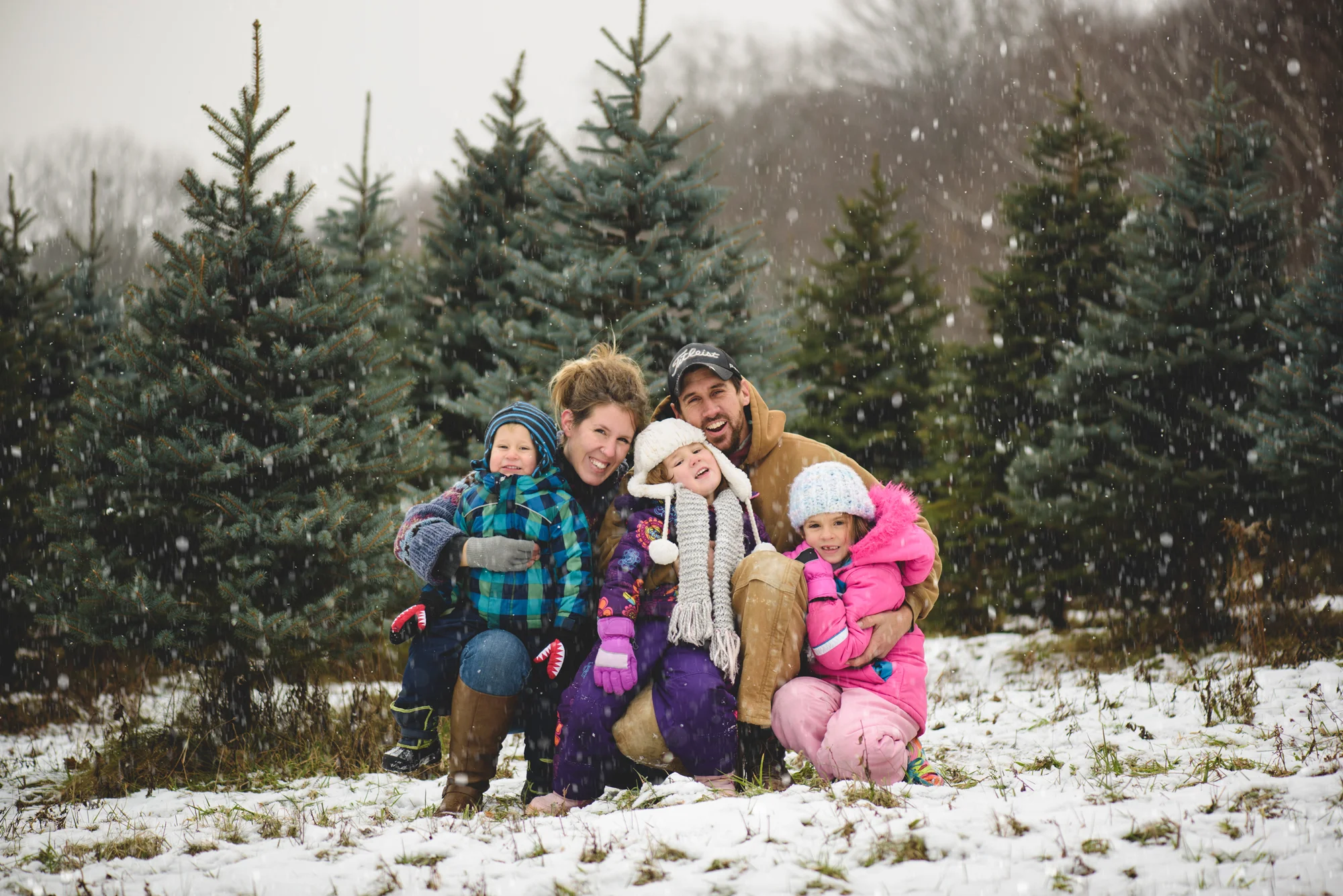 Christmas Tree-7321.jpg