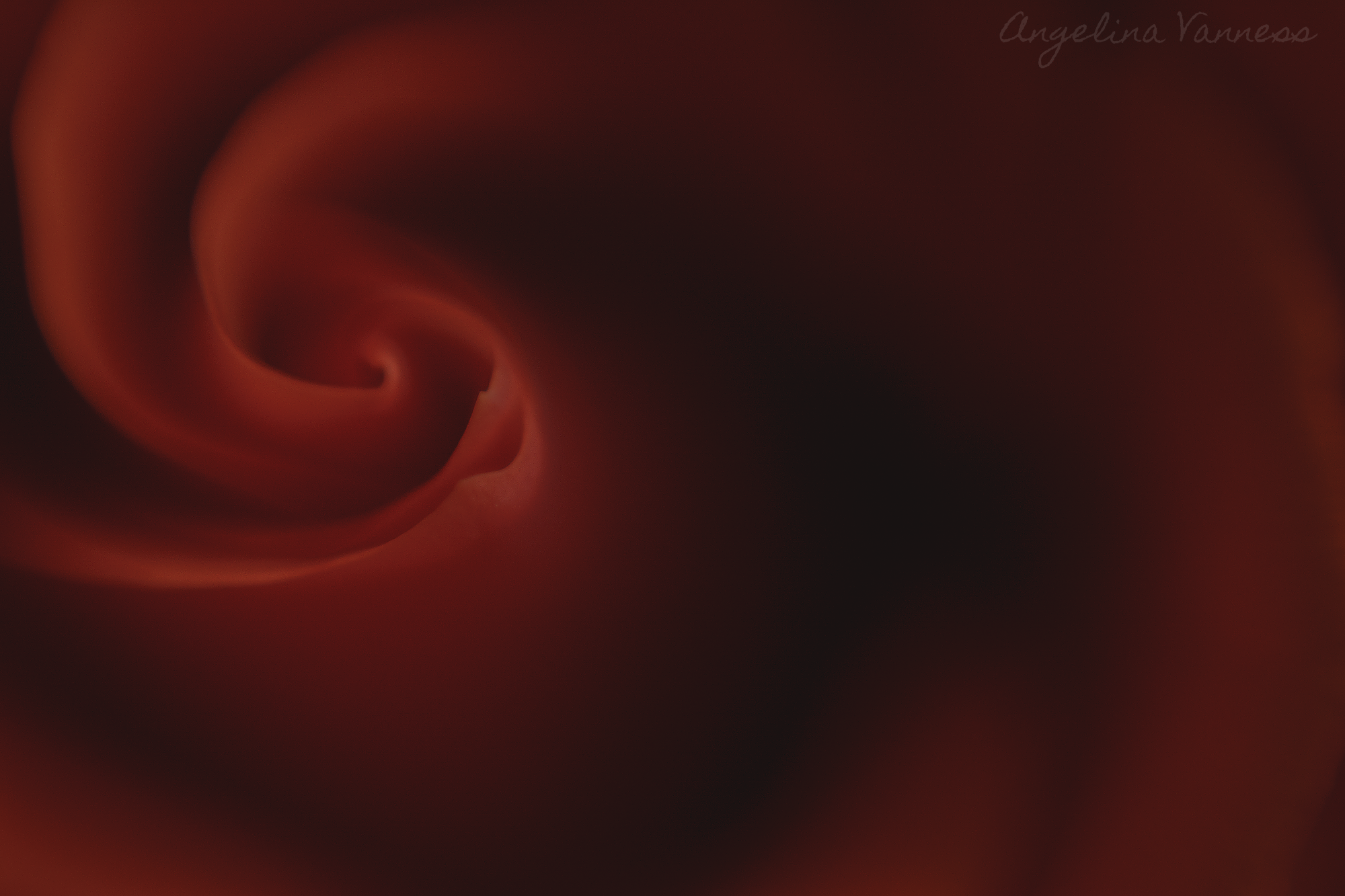 Flowers-4744.png