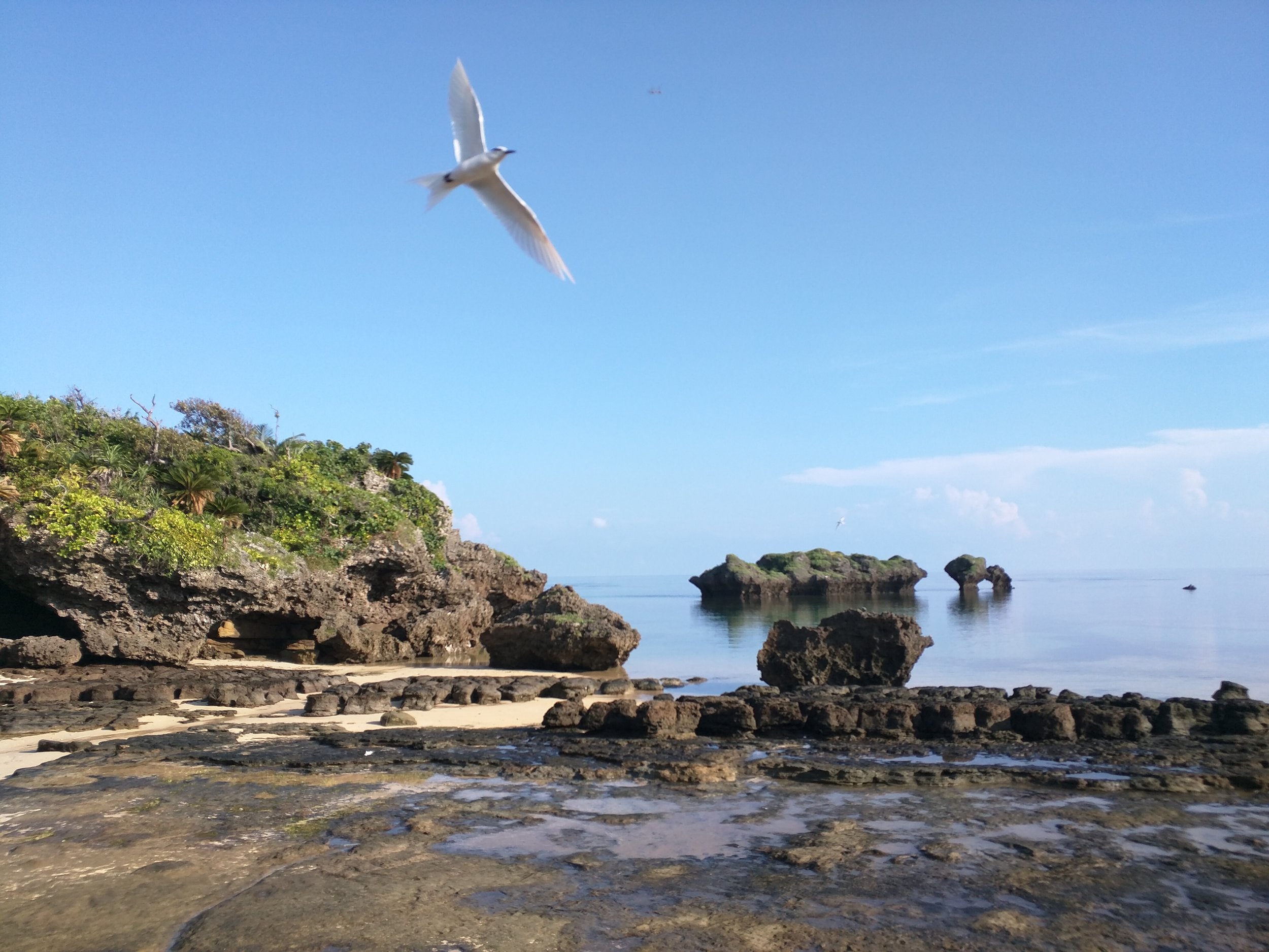 Iriomote-Jima