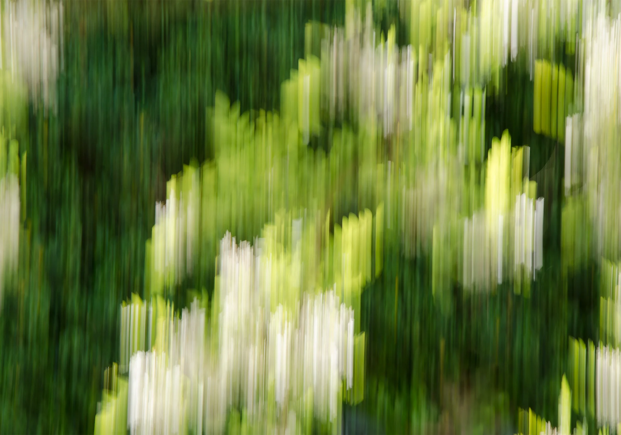 20170423tb088-2000x1400.jpg