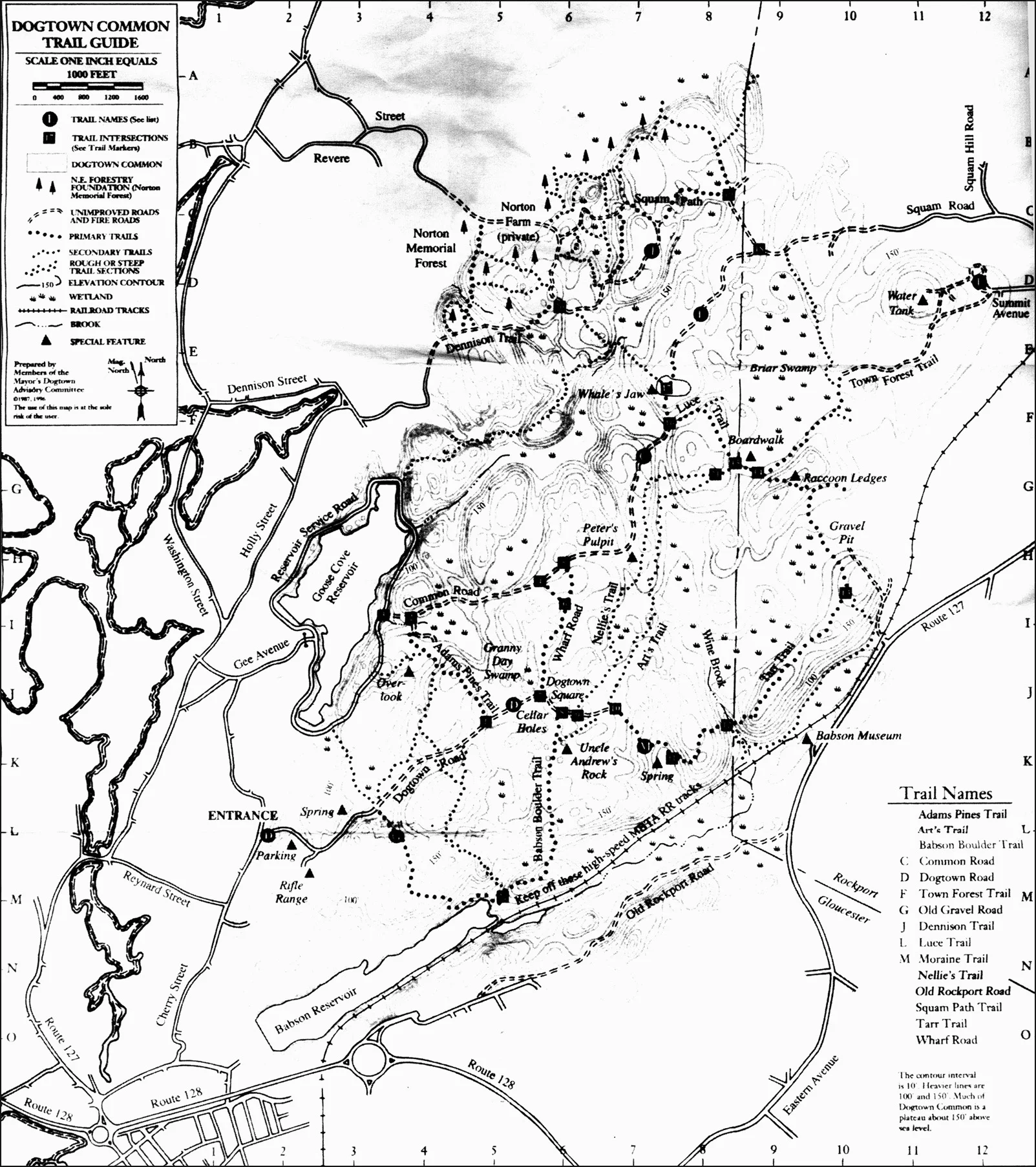 My Introduction to the Legend of Dogtown — Cape Super Moms