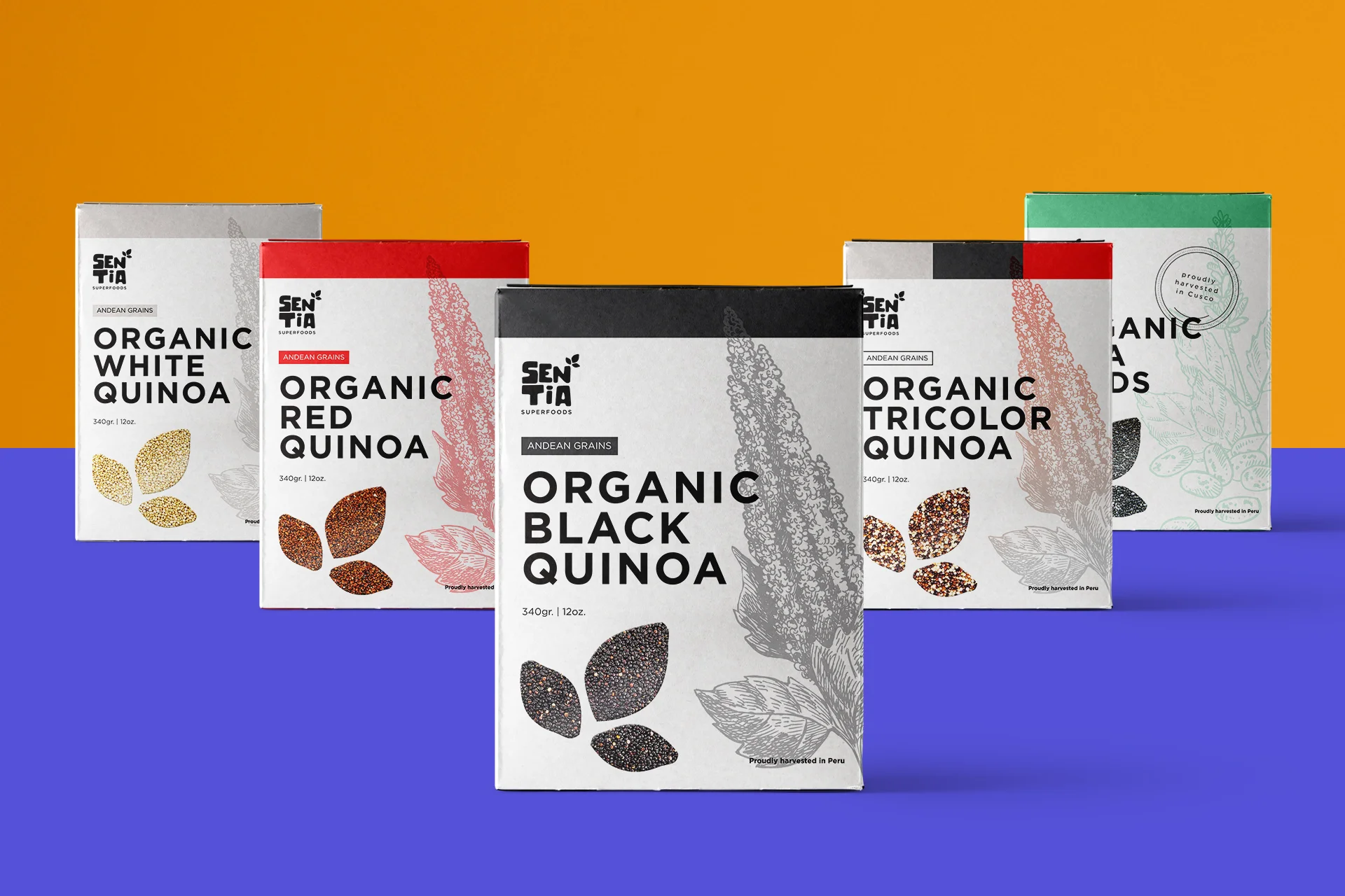 MockUp_AndeanGrains_Cartonette_2.jpg