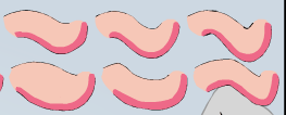 A selection of dragon bodies available.