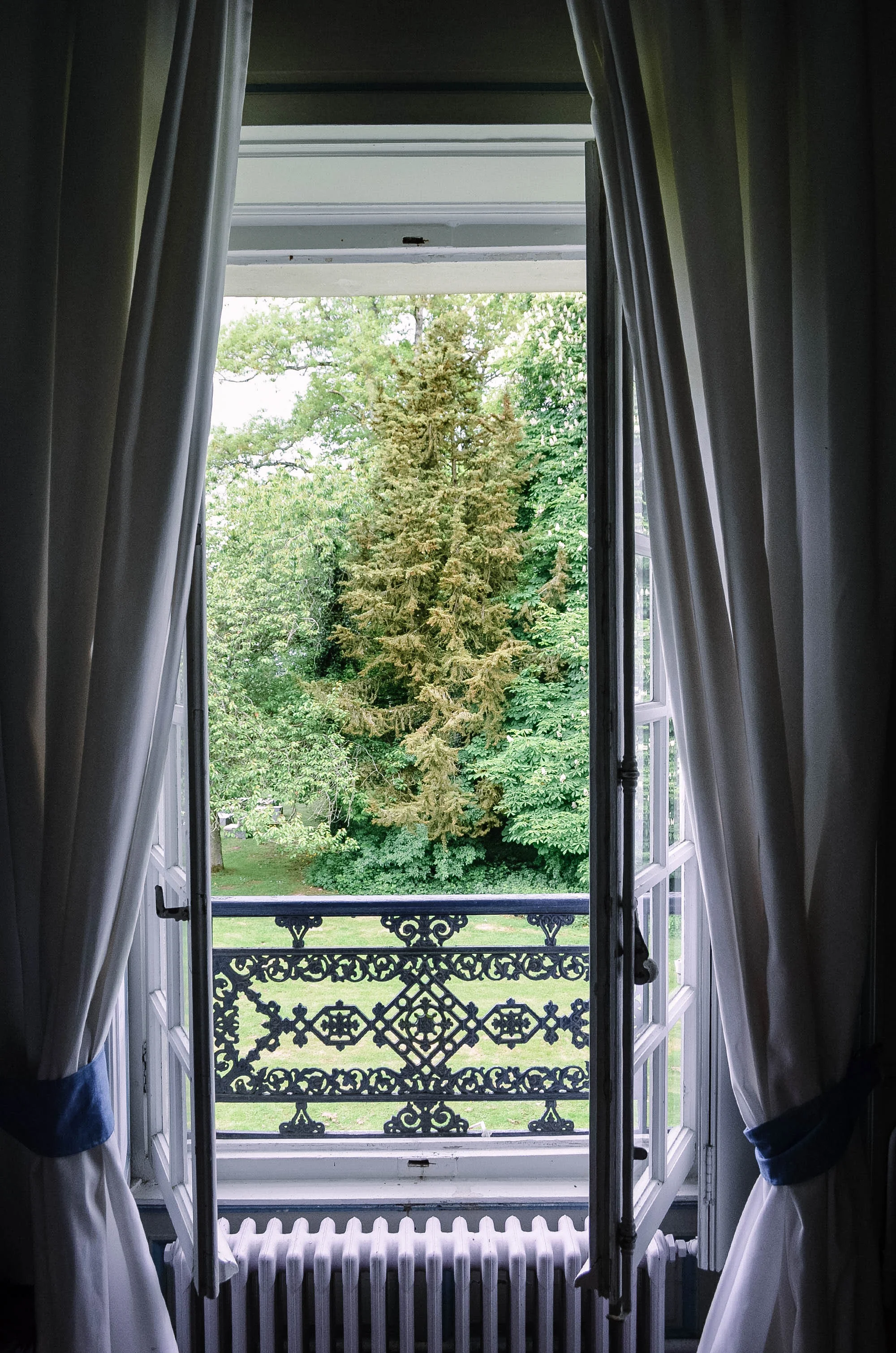 window4botanical_watercolor_jeffords22.jpg