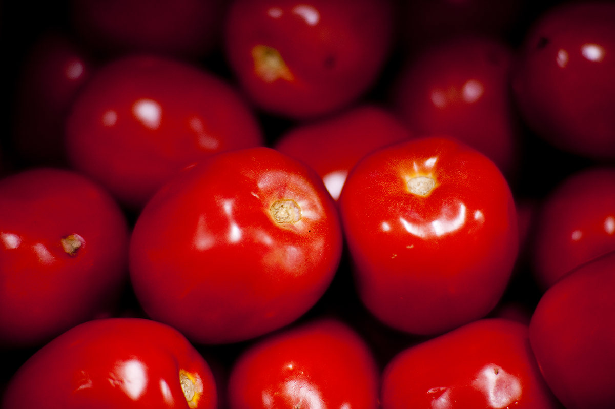 Tomatoes_2003.png