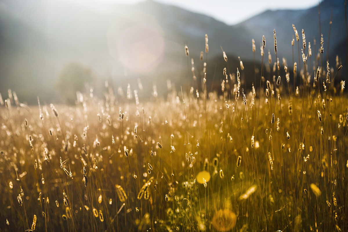 Travel-Outdoors_001.png