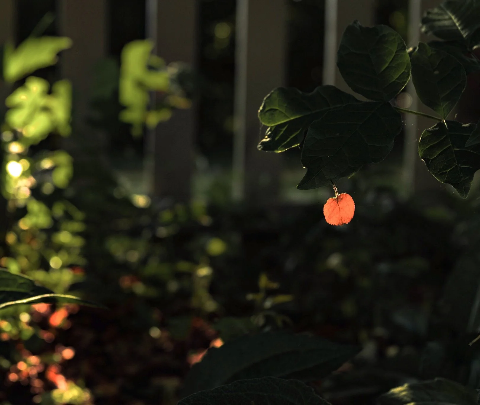 beauty defined (page 1)