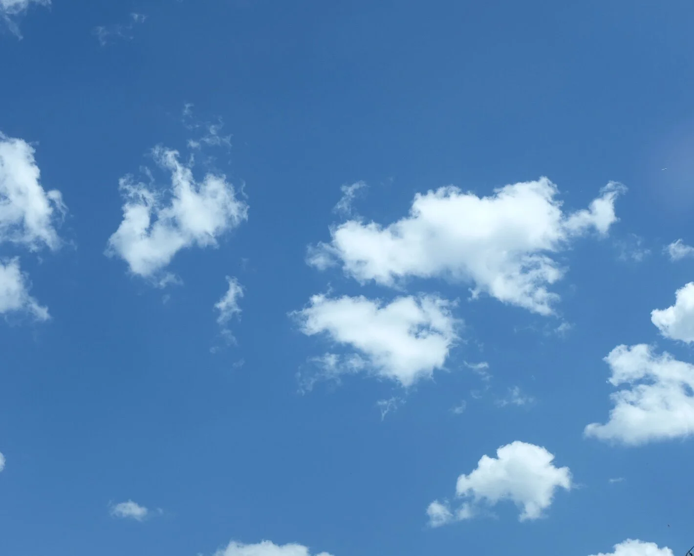 sometimes beauty is found within  (p.2)