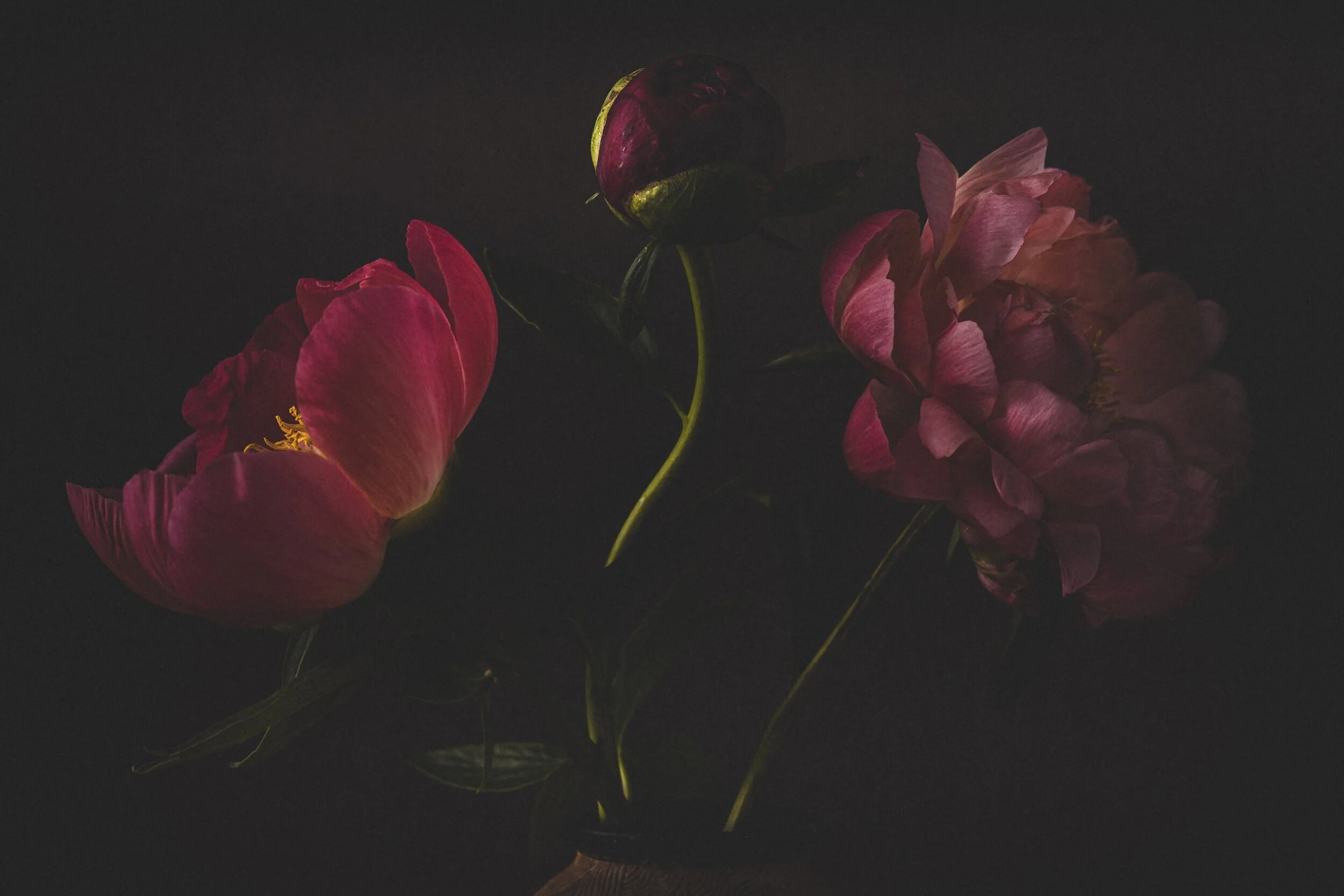 beauty is born in stillness (p.5)