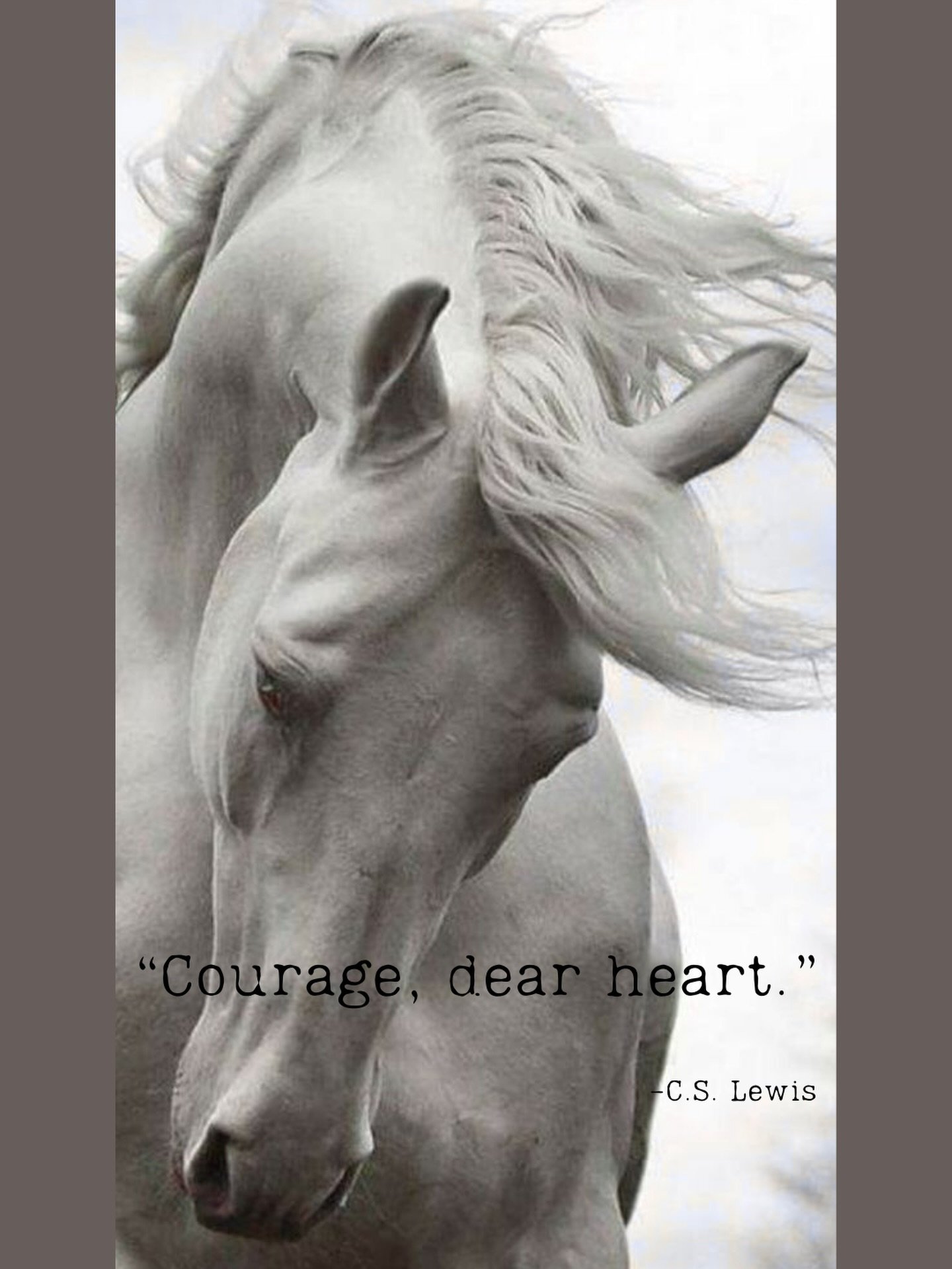 ❤️
#2026
photo by:  unknown