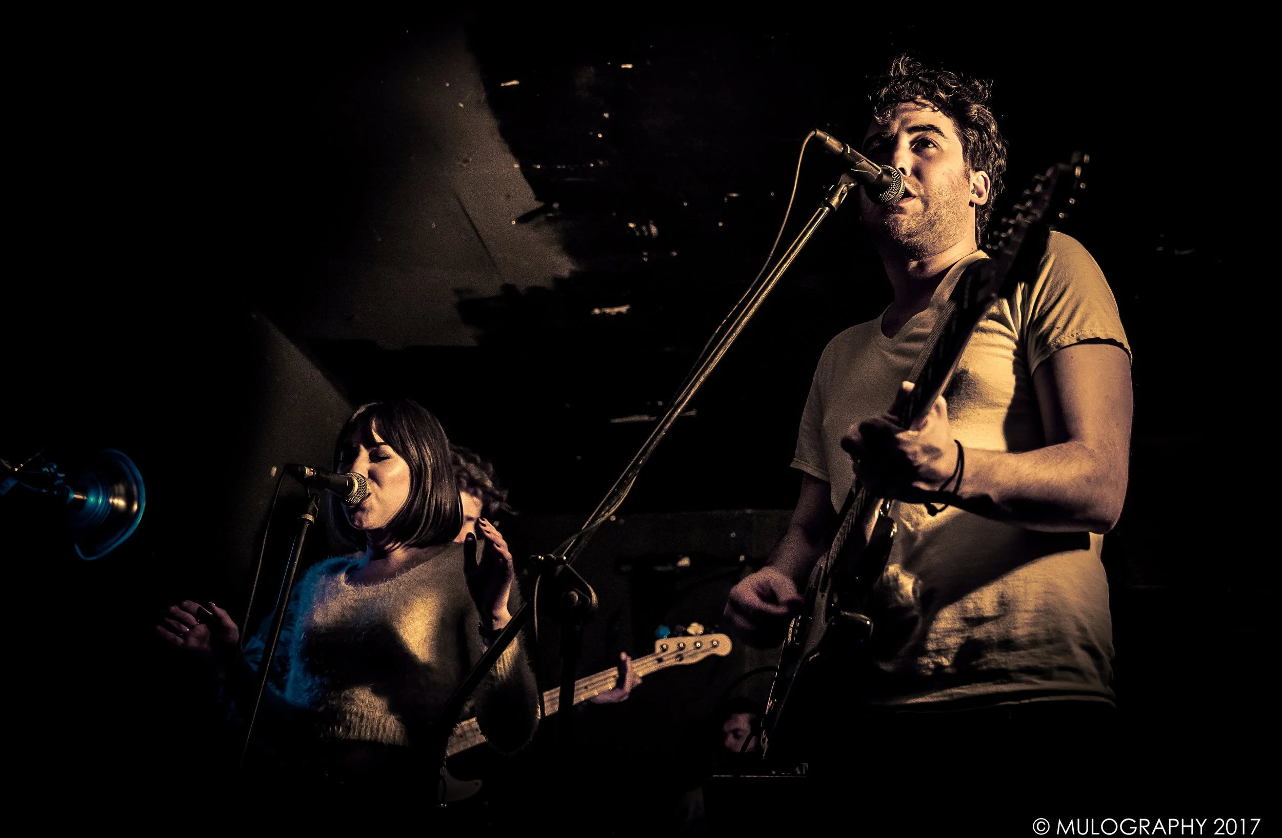 Evening Darling 2.jpg