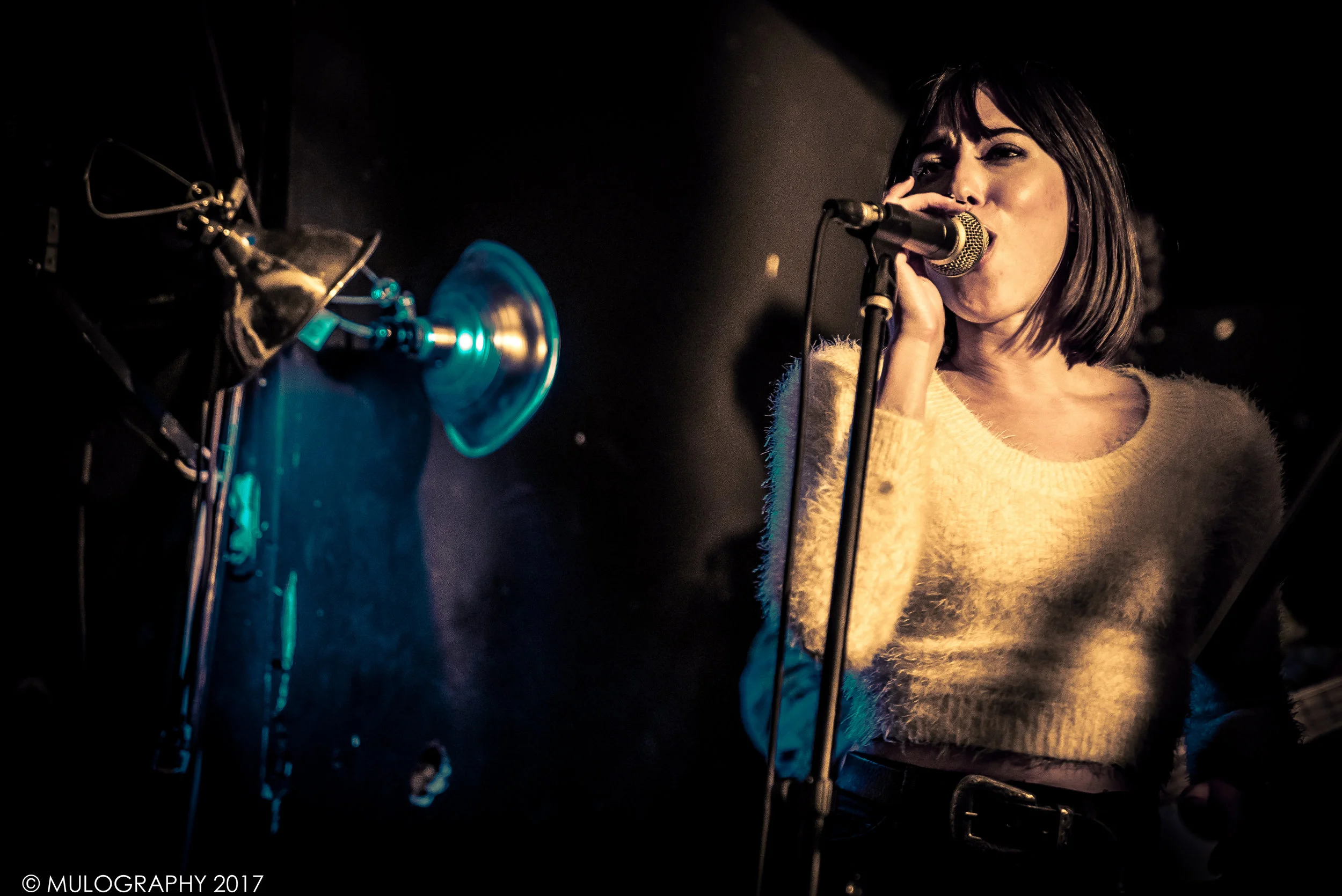 Evening Darling 3.jpg