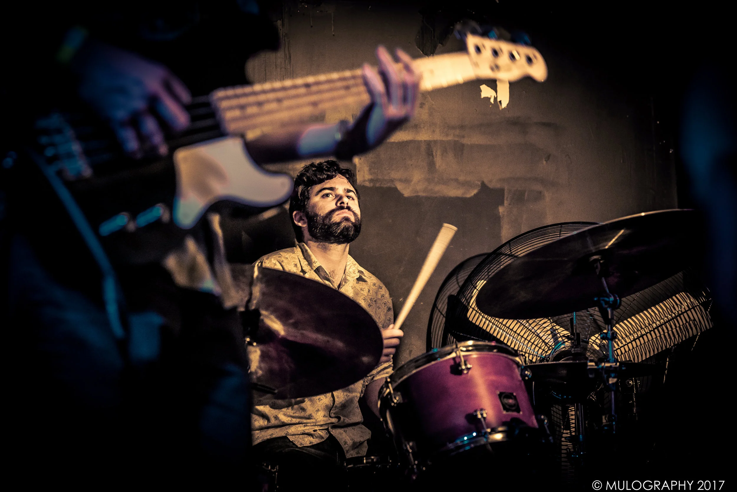 Evening Darling 5.jpg