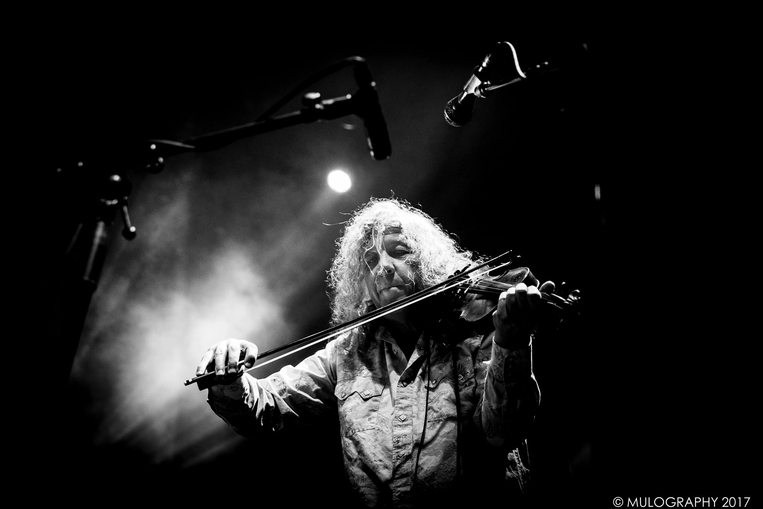 Railroad Earth 7.jpg