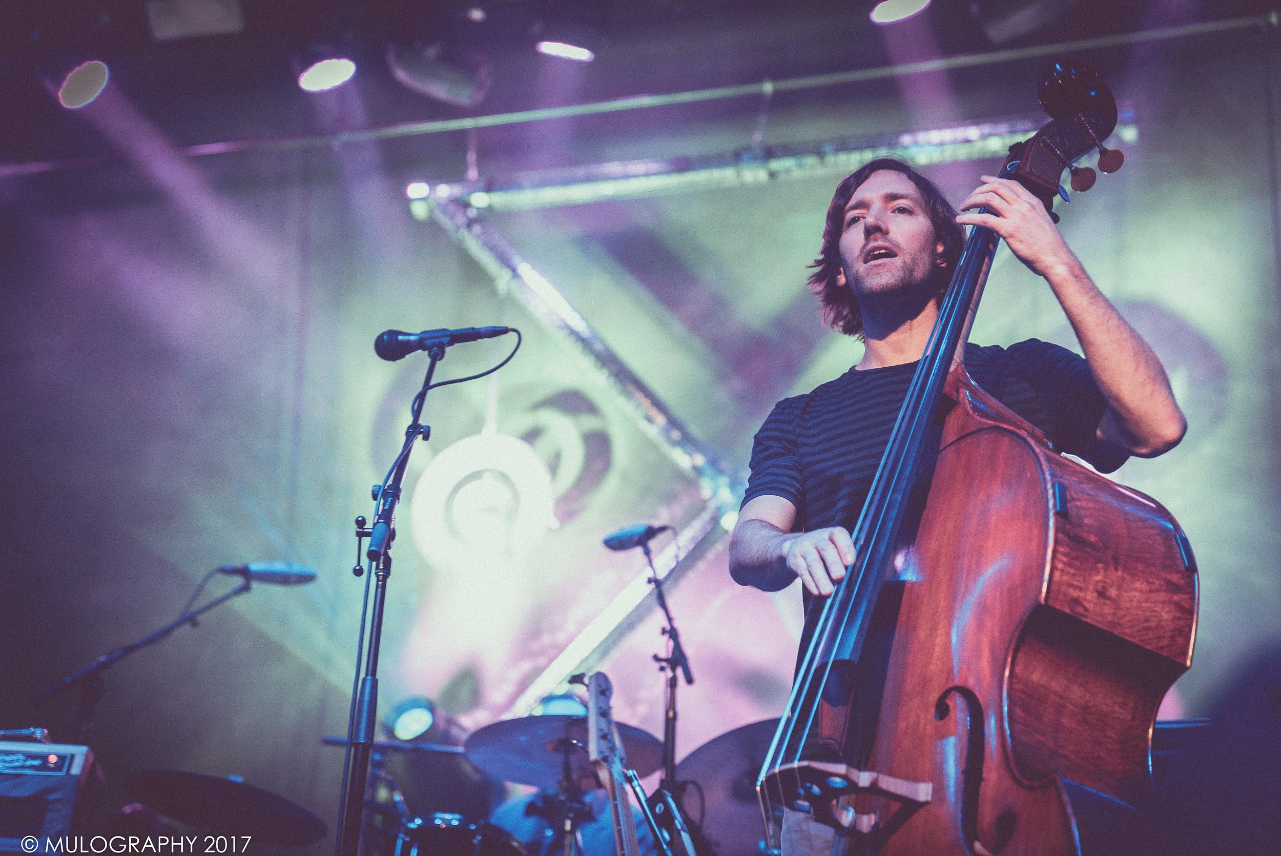 Railroad Earth 11.jpg