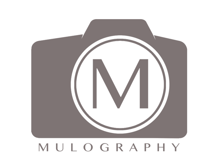 Mulography - Anthony Mulcahy