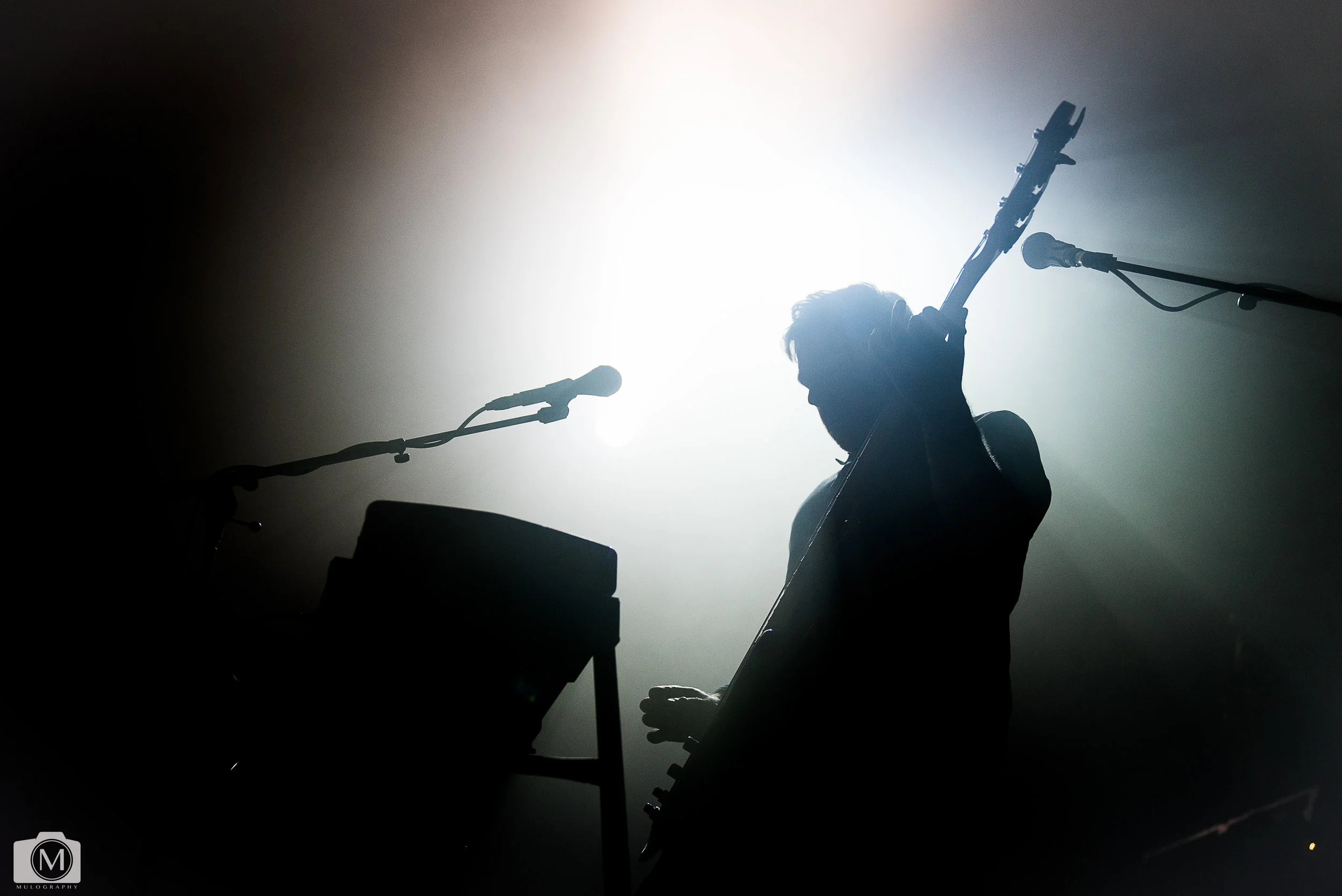 Frightened Rabbit 3.jpg