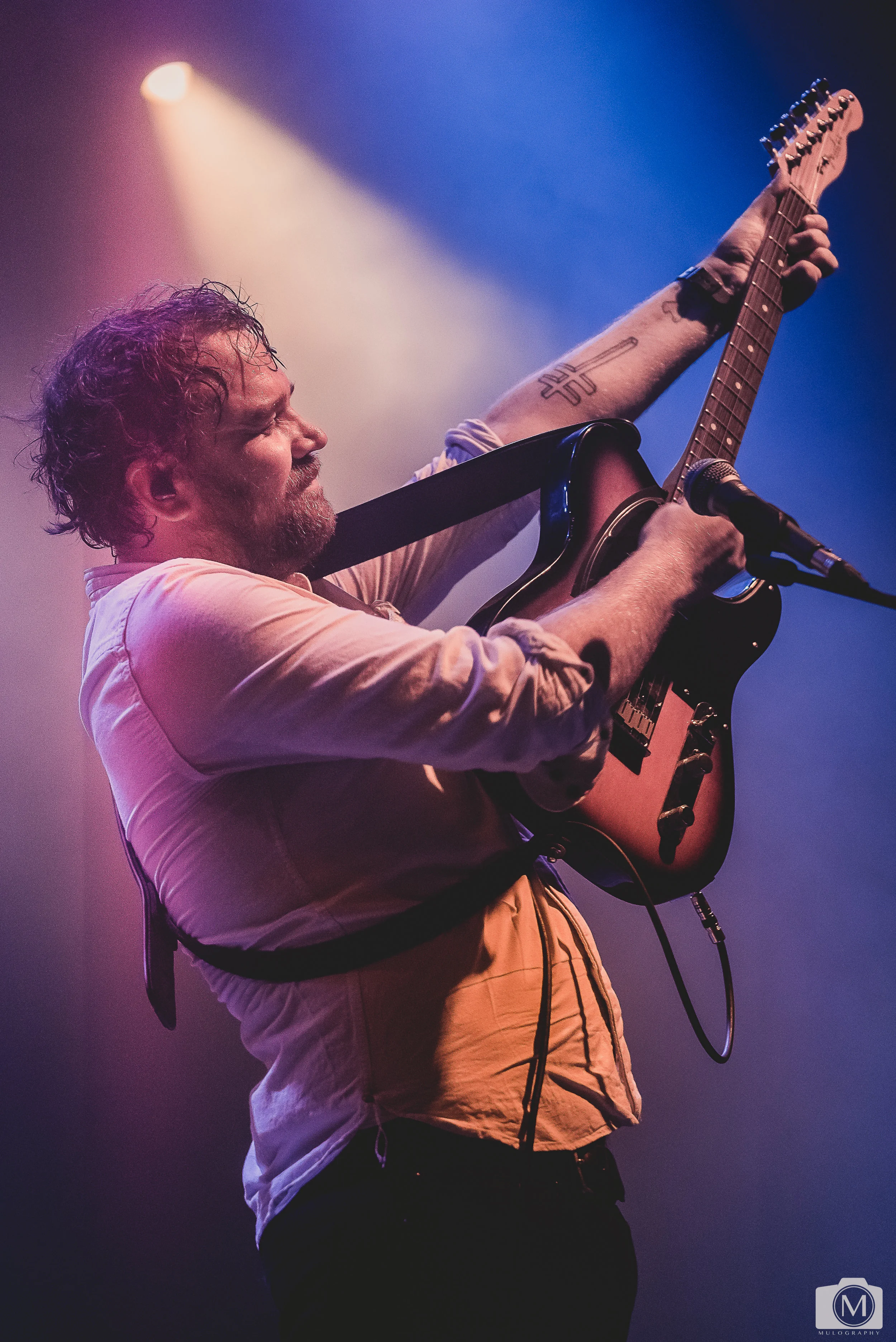 Frightened Rabbit 1.jpg