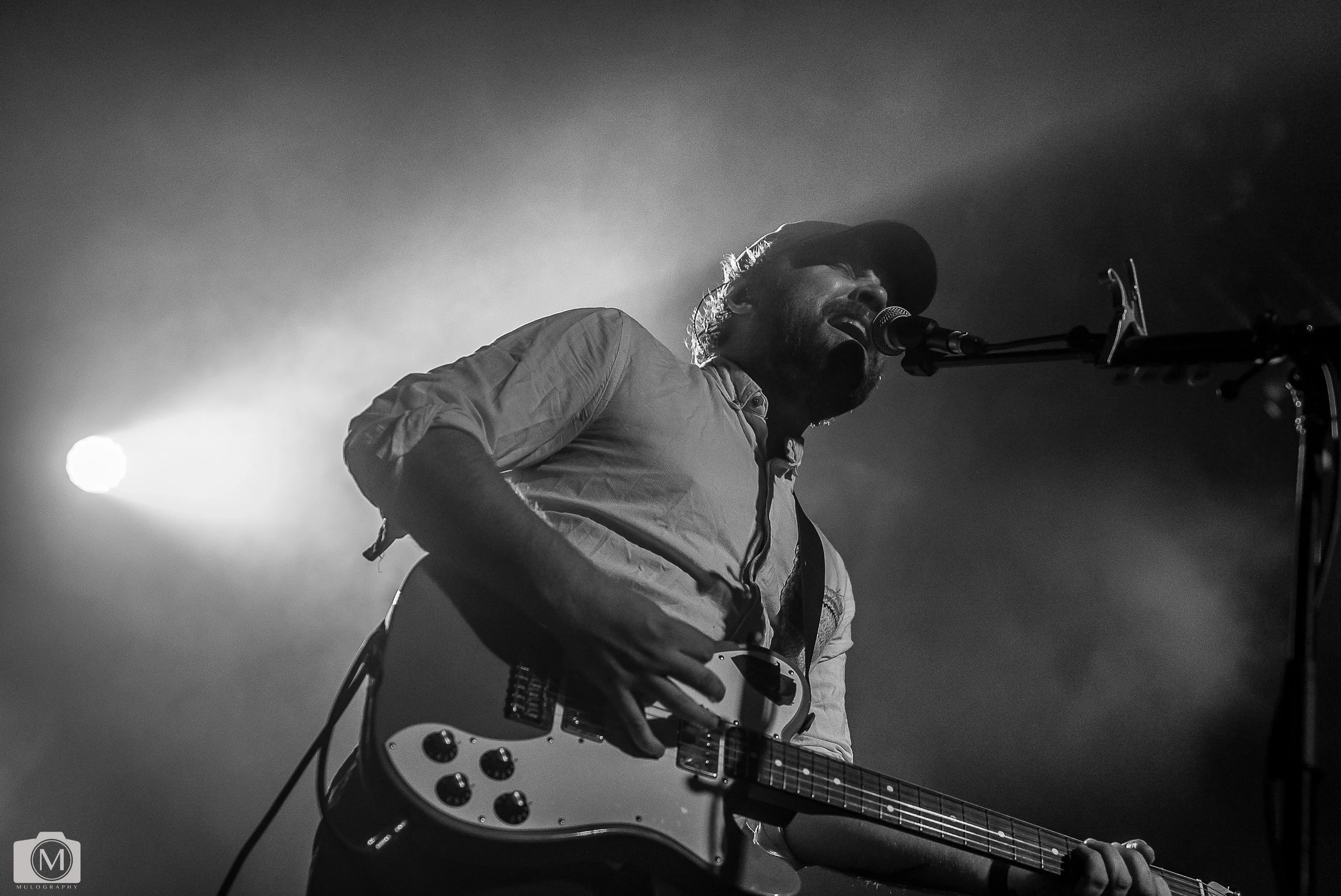 Frightened Rabbit 11.jpg
