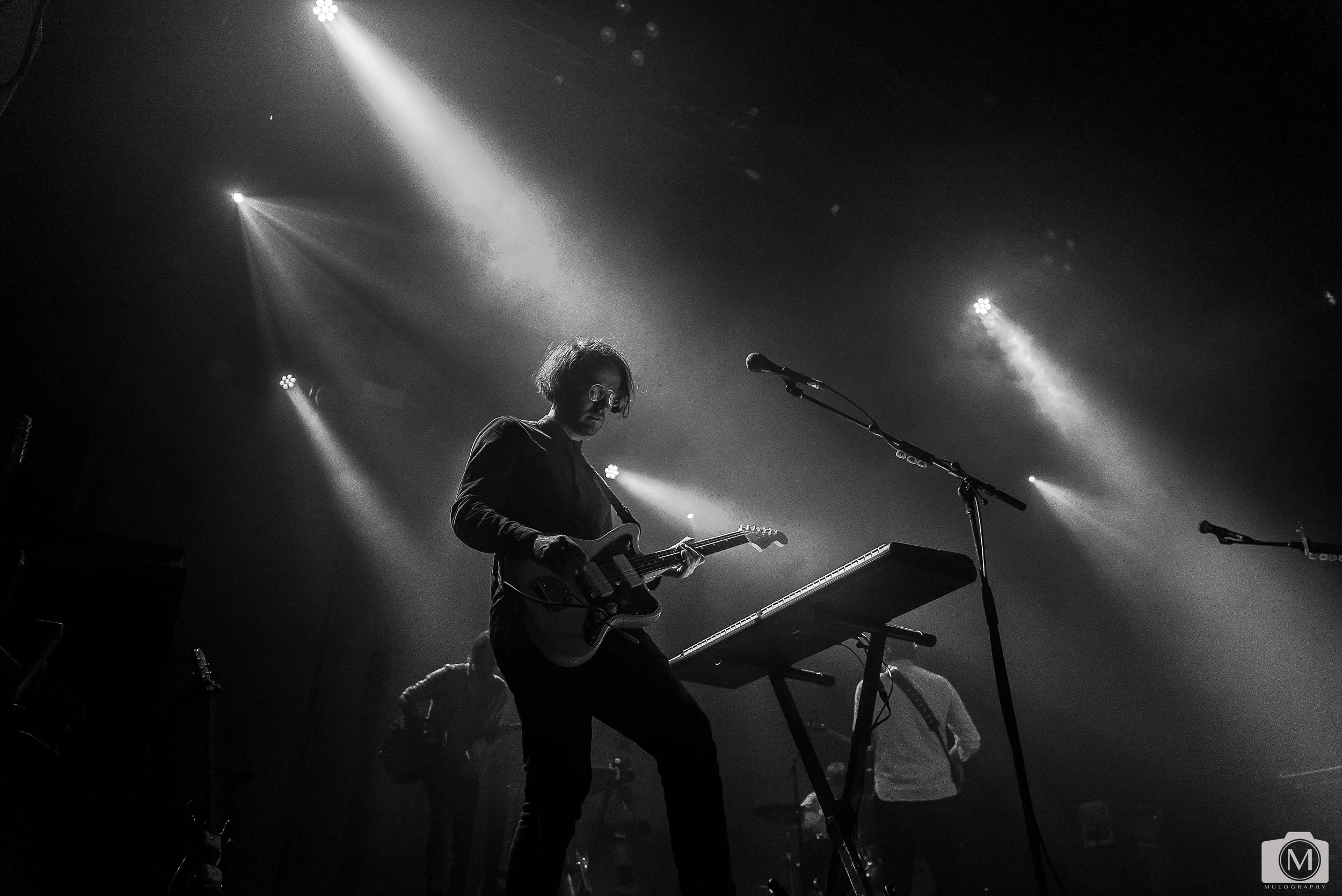 Frightened Rabbit 15.jpg