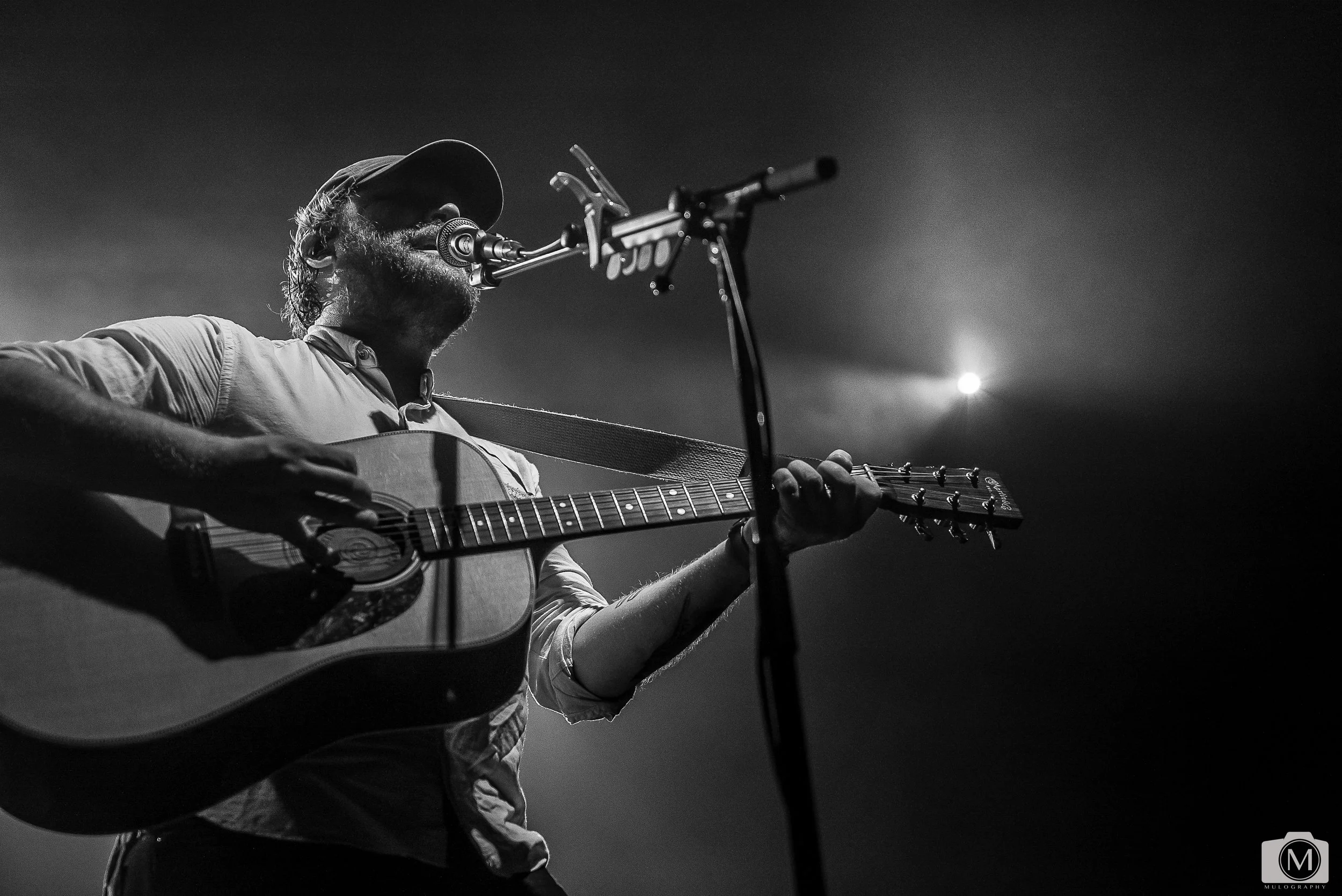Frightened Rabbit 19.jpg