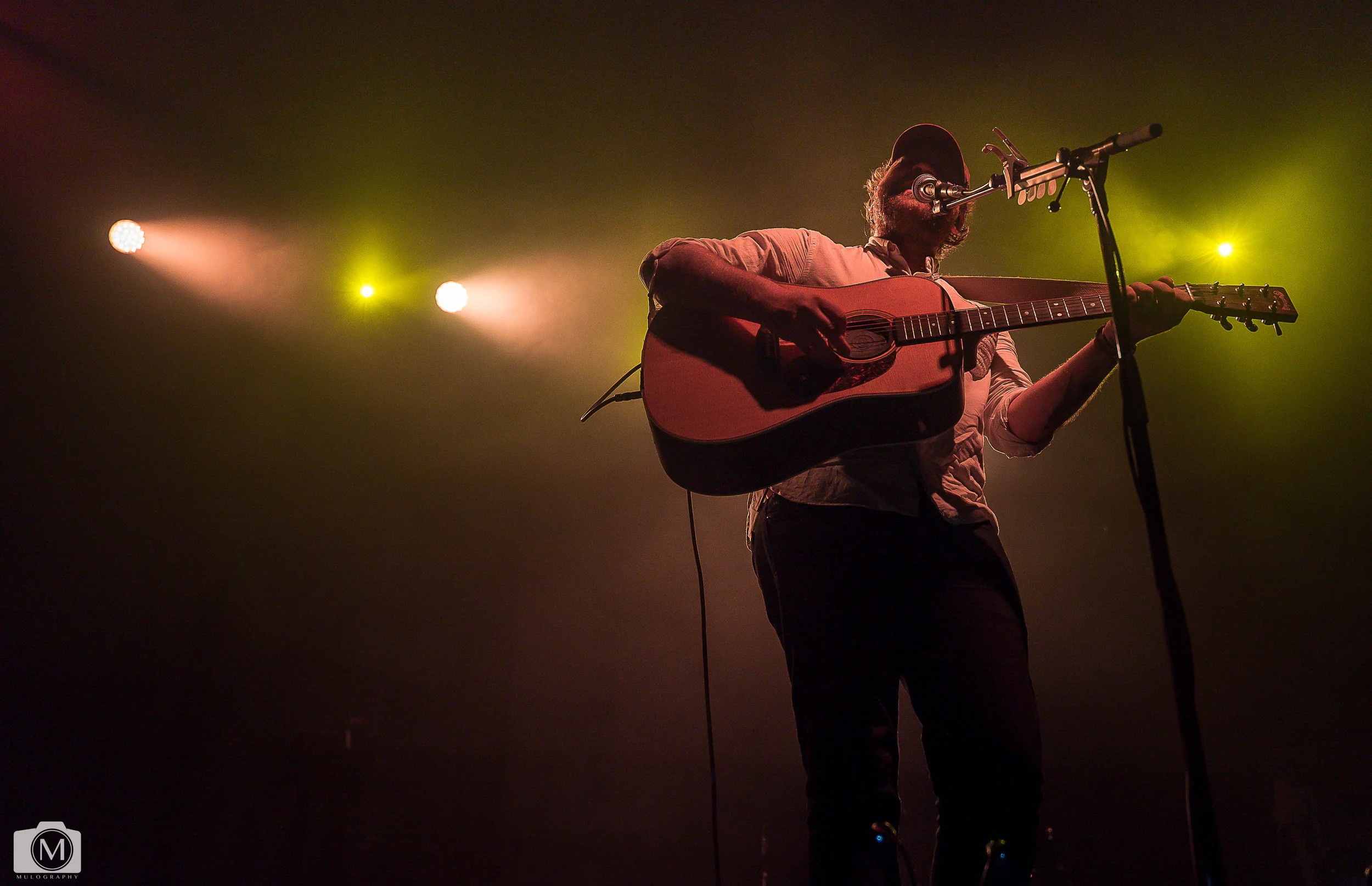 Frightened Rabbit 20.jpg