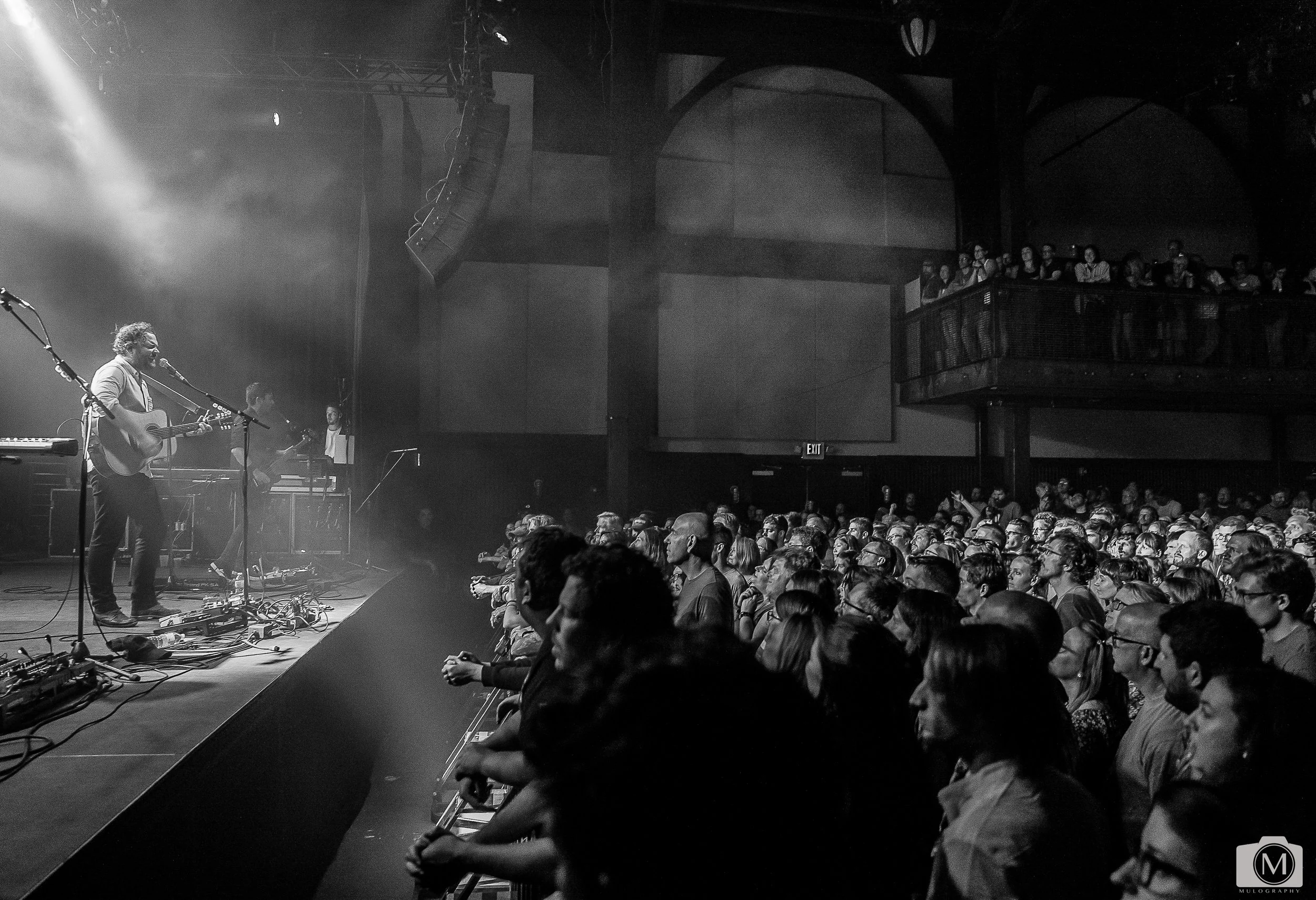 Frightened Rabbit 21.jpg