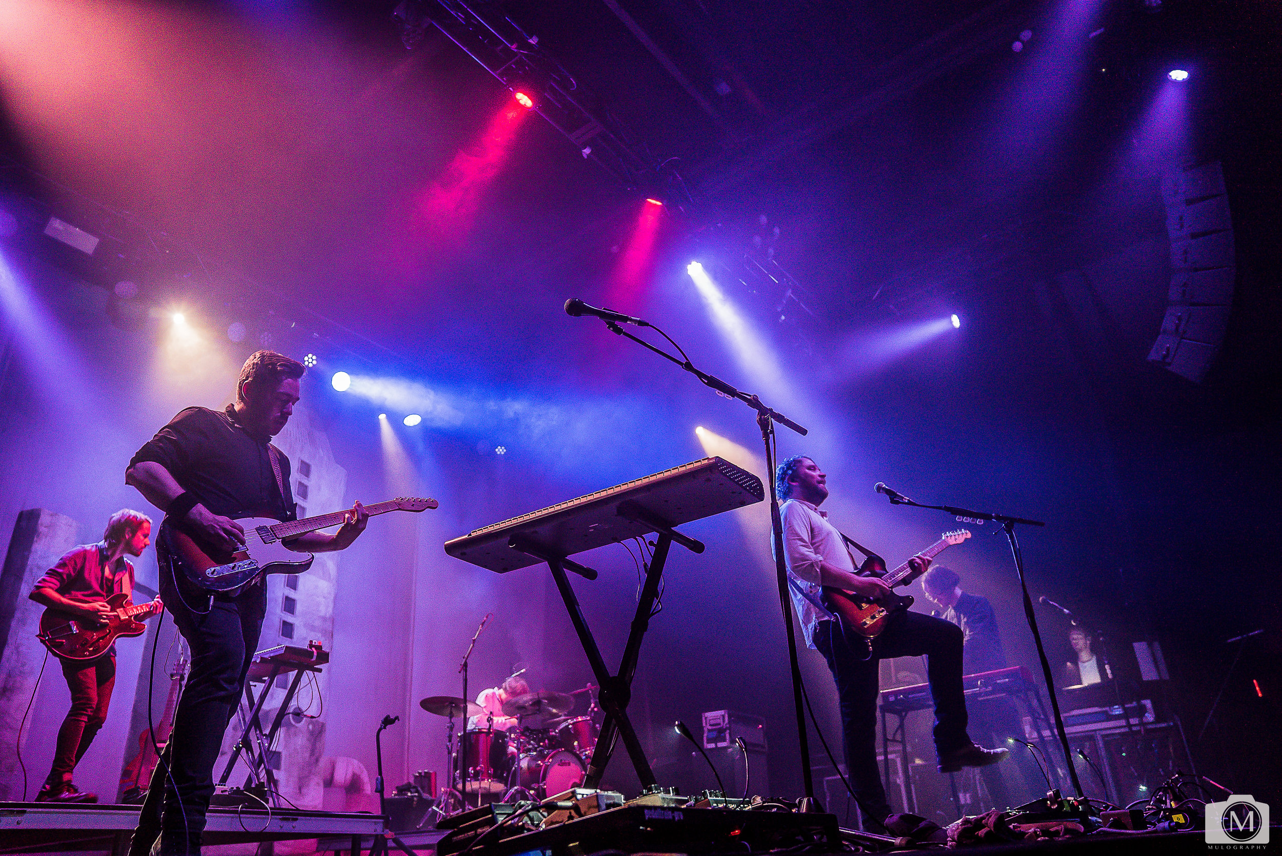 Frightened Rabbit 26.jpg