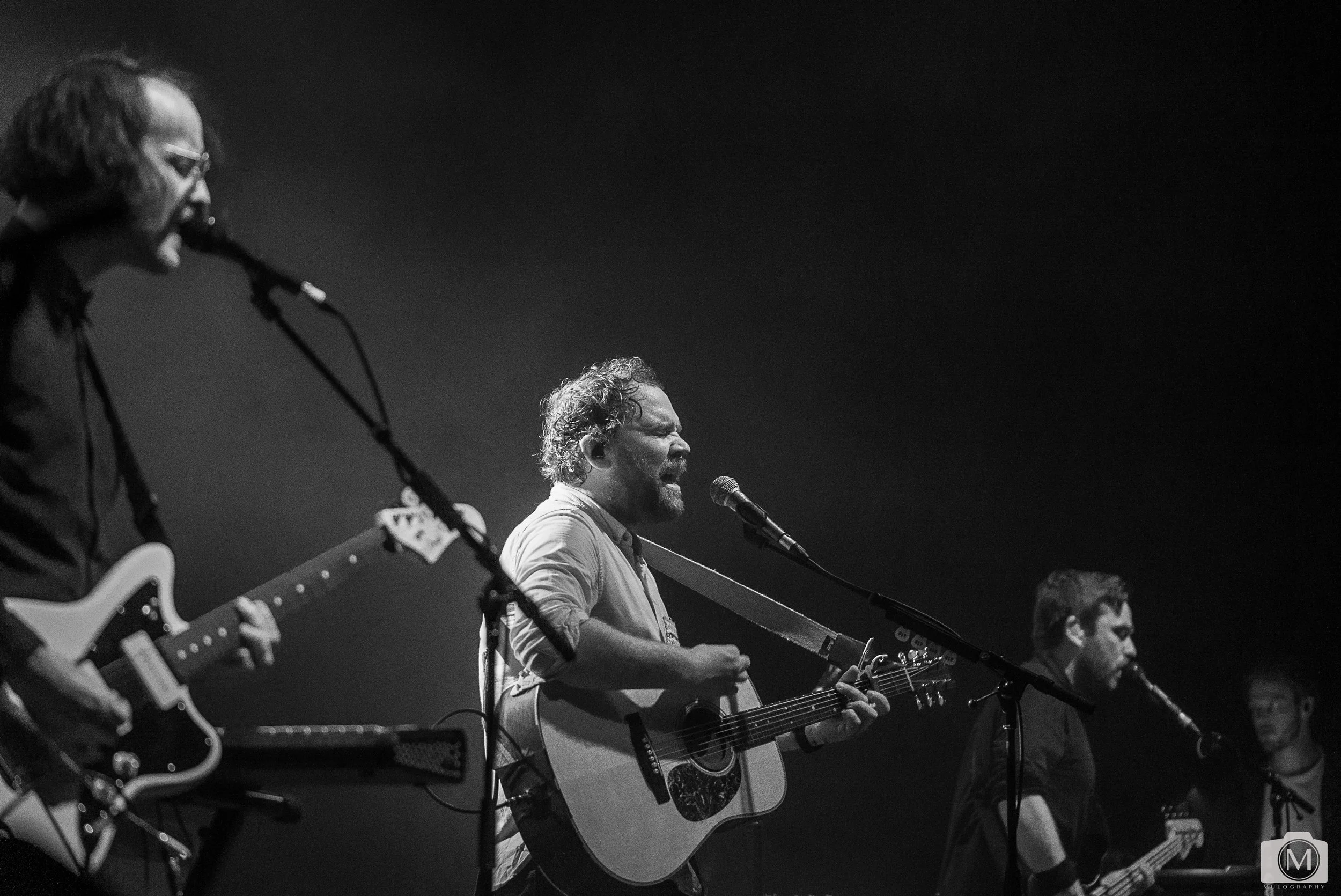 Frightened Rabbit 31.jpg